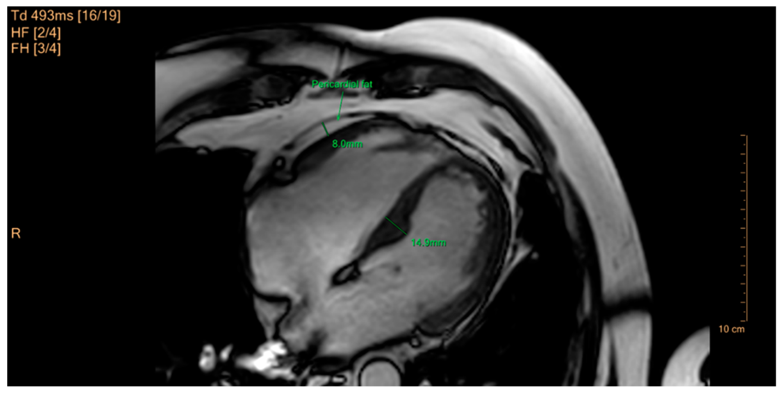 Applsci 11 11565 g010