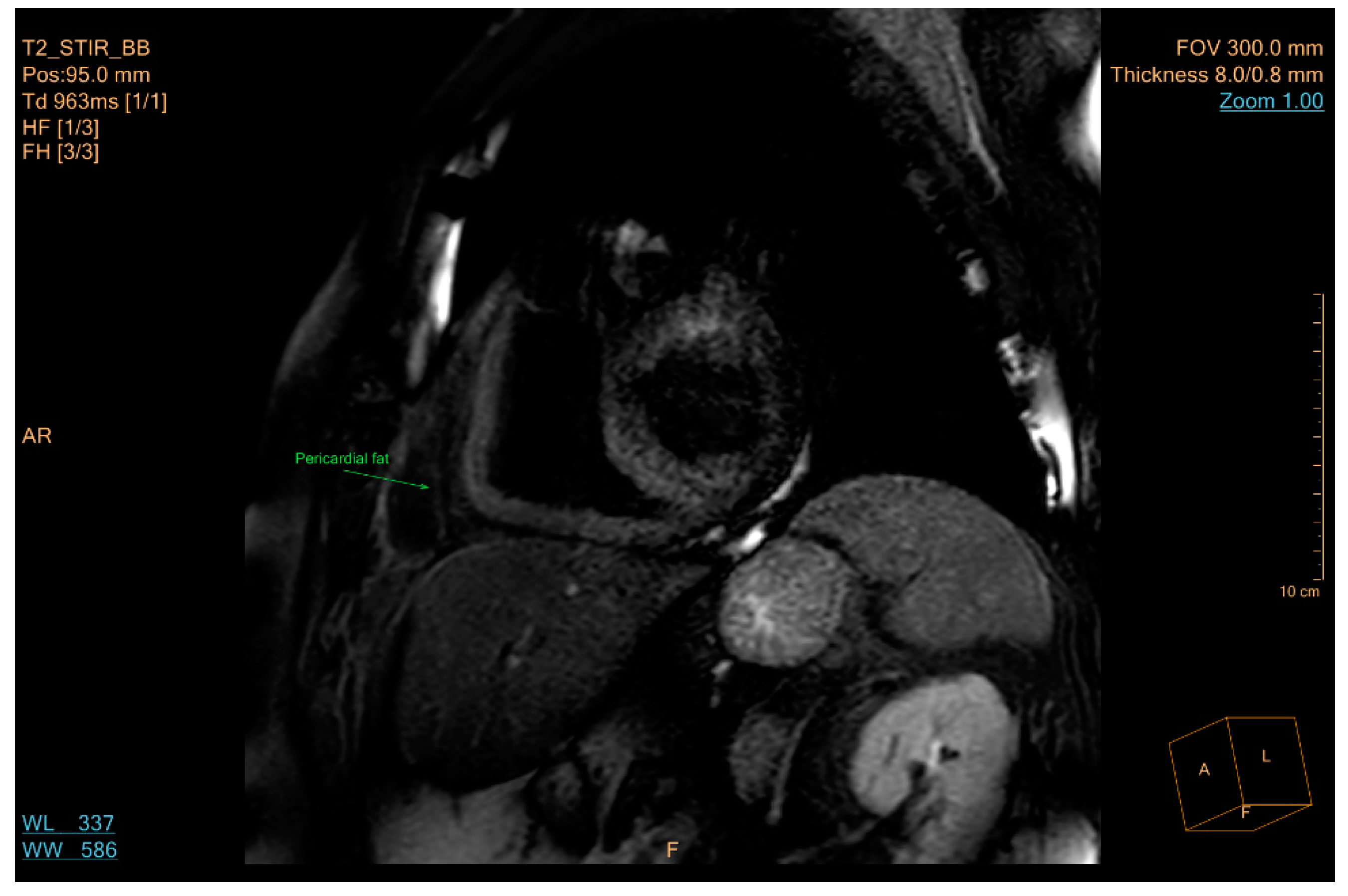 Applsci 11 11565 g011
