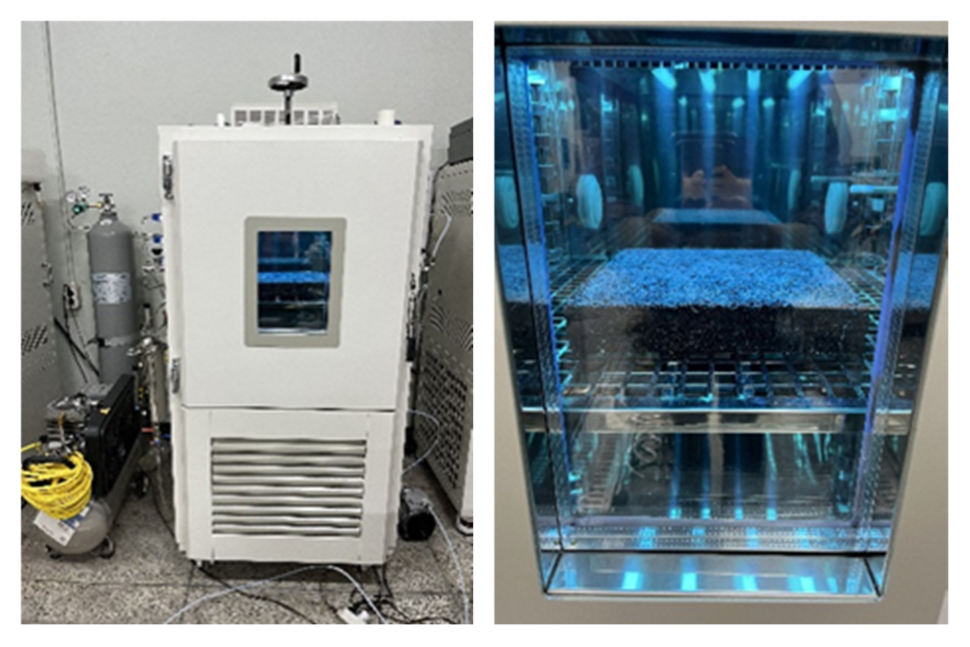 Applsci 11 11571 g006