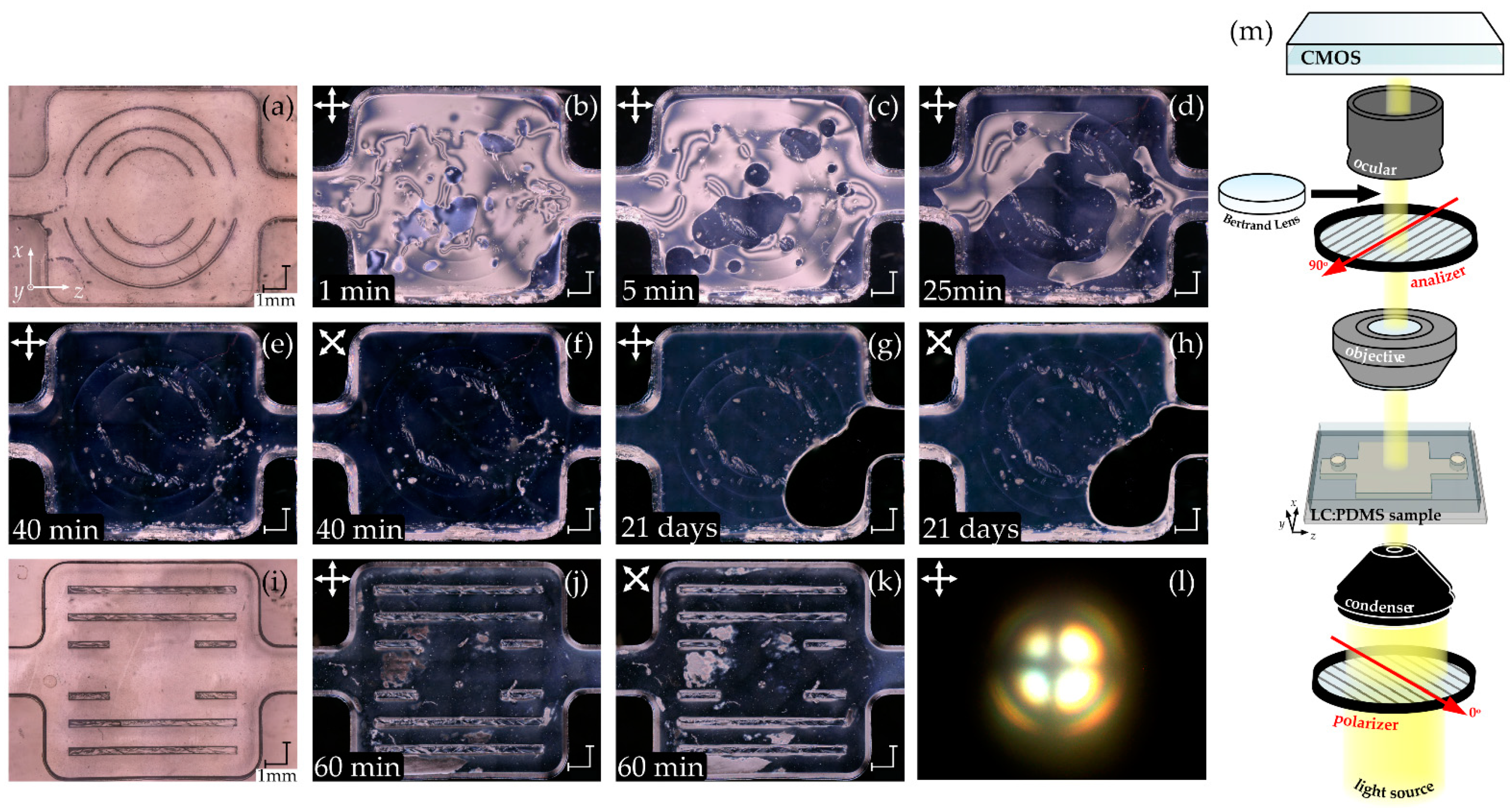 Applsci 11 11593 g002