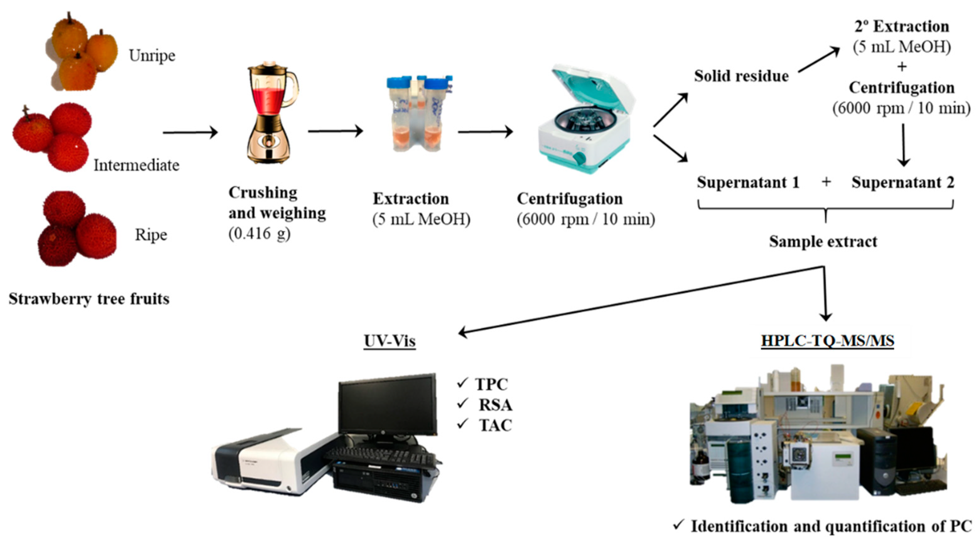 Applsci 11 11616 g002