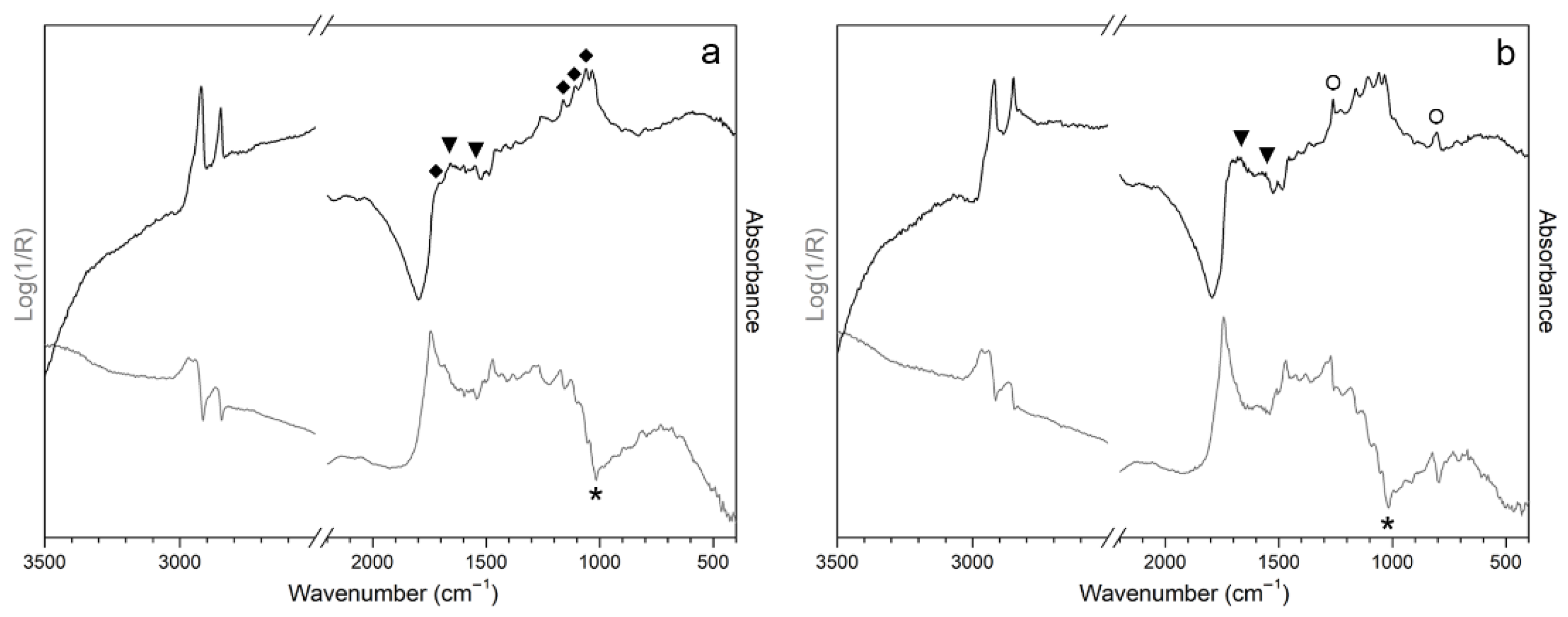 Applsci 11 11626 g003 Applsci 11 11626 g003