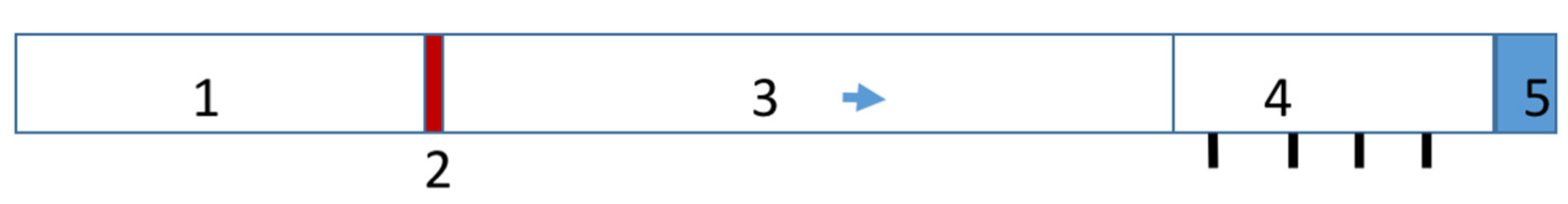 Applsci 11 11677 g002 550