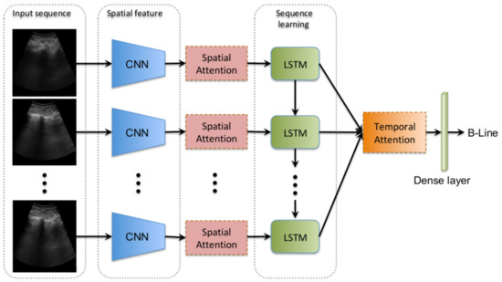 Applied Sciences | Free Full-Text | B-Line Detection and Localization ...