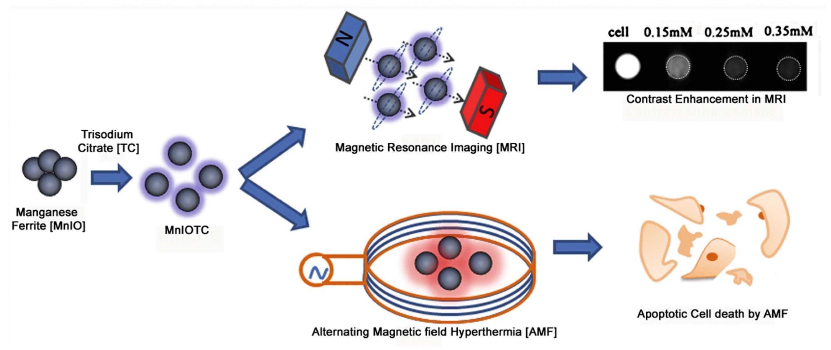 Applsci 11 11713 g003 Applsci 11 11713 g003