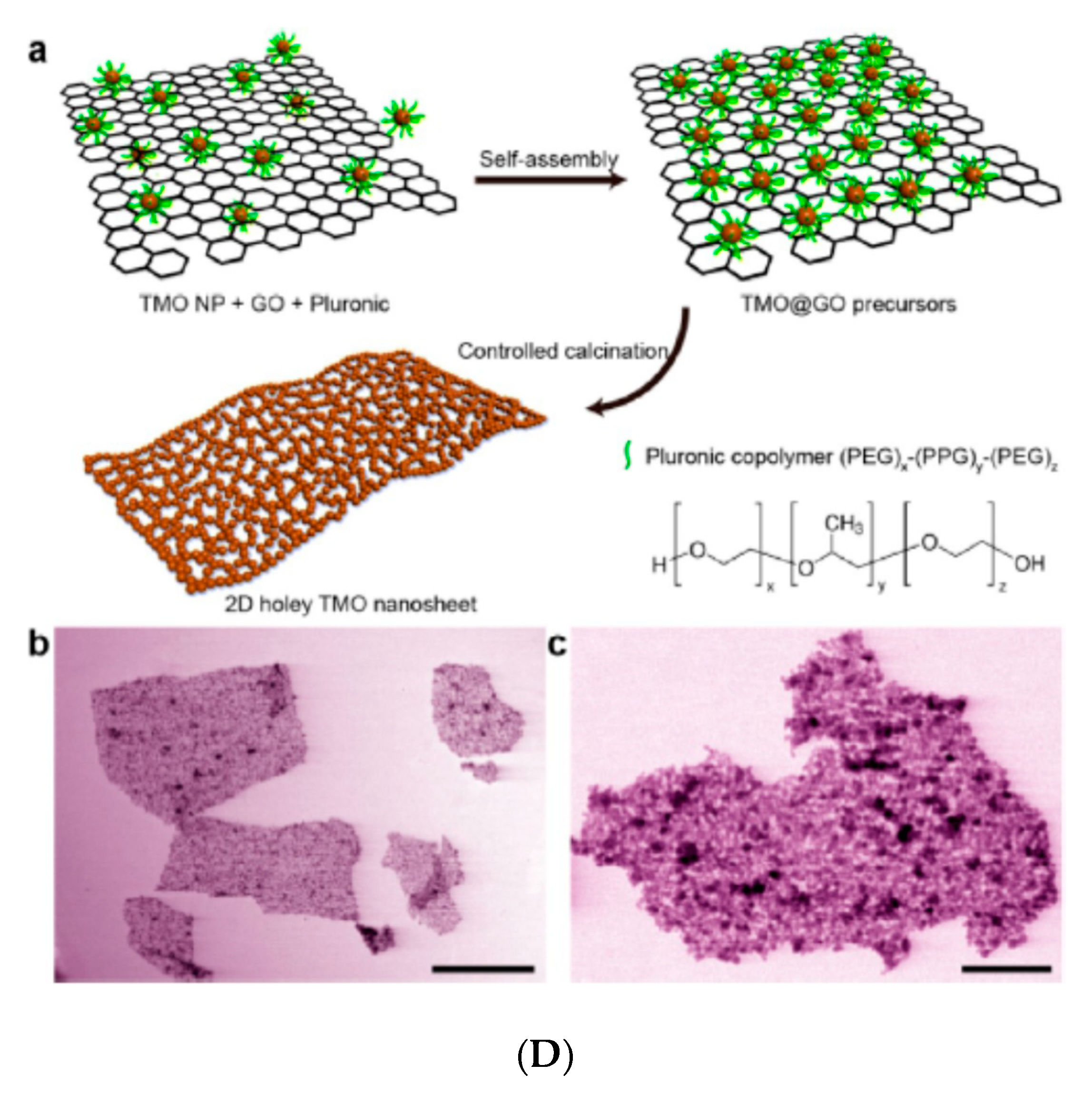 Applsci 11 11713 g008b Applsci 11 11713 g008b