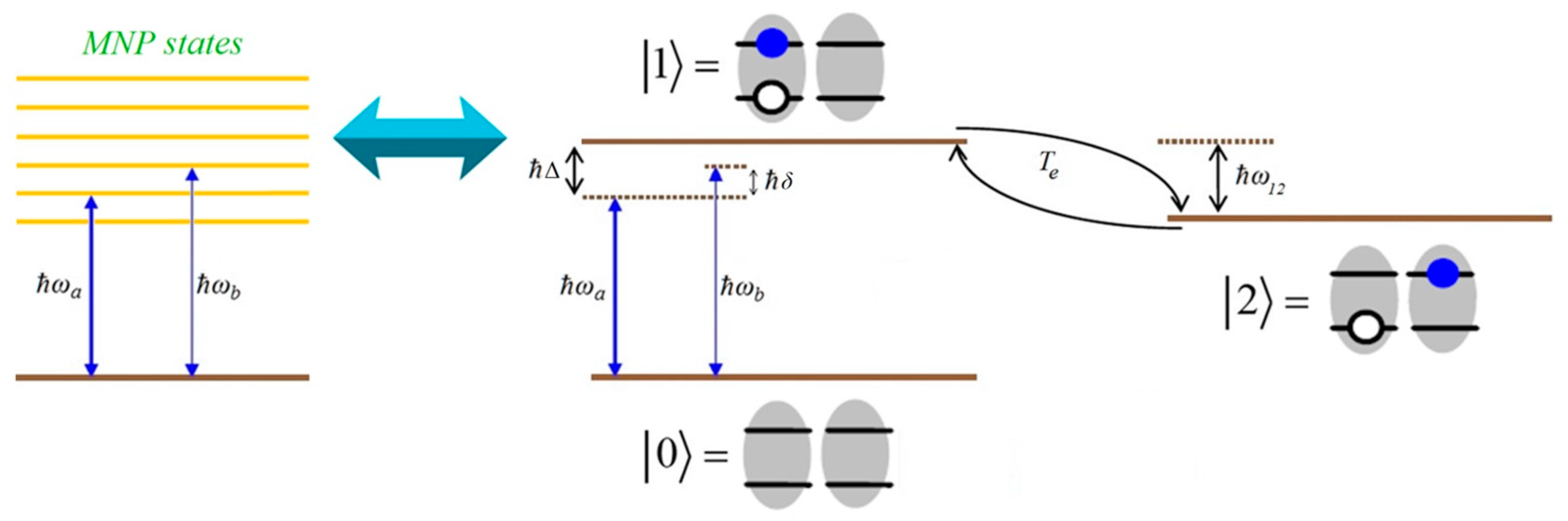 Applsci 11 11714 g002 550