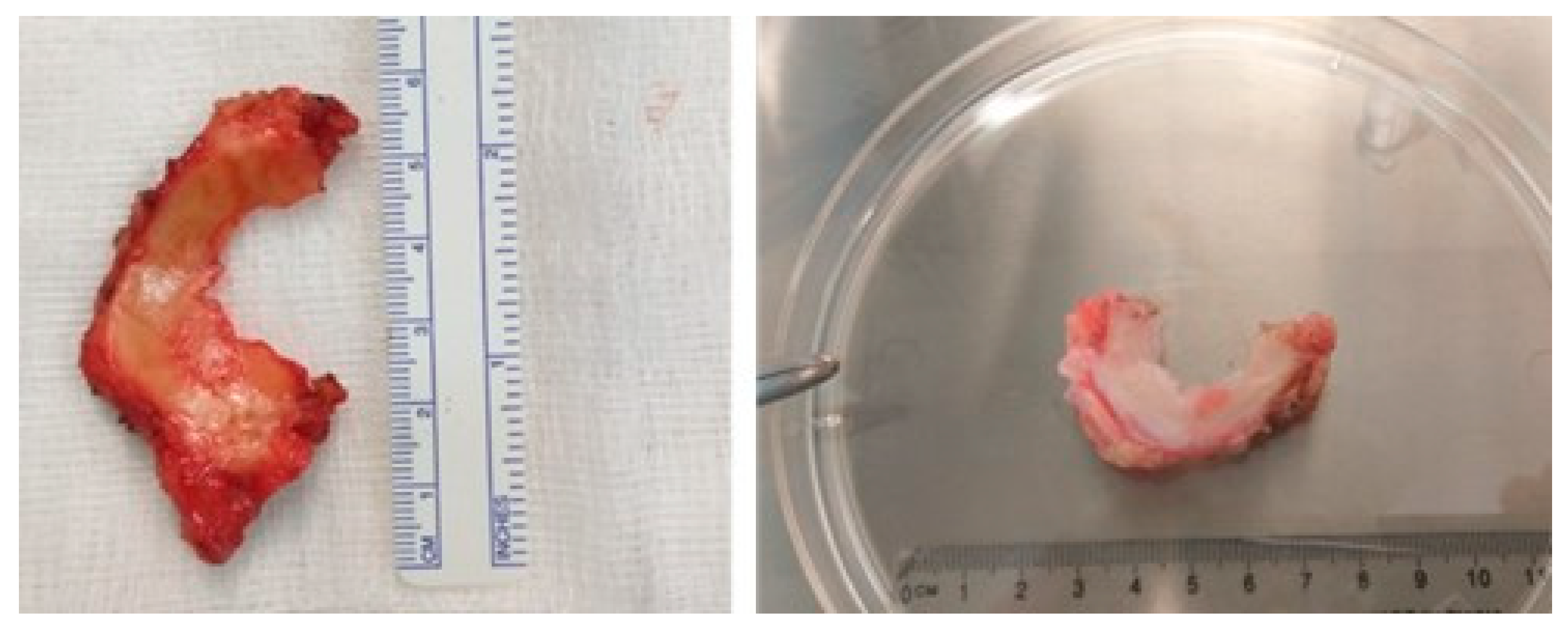 Applsci 11 11733 g001 550