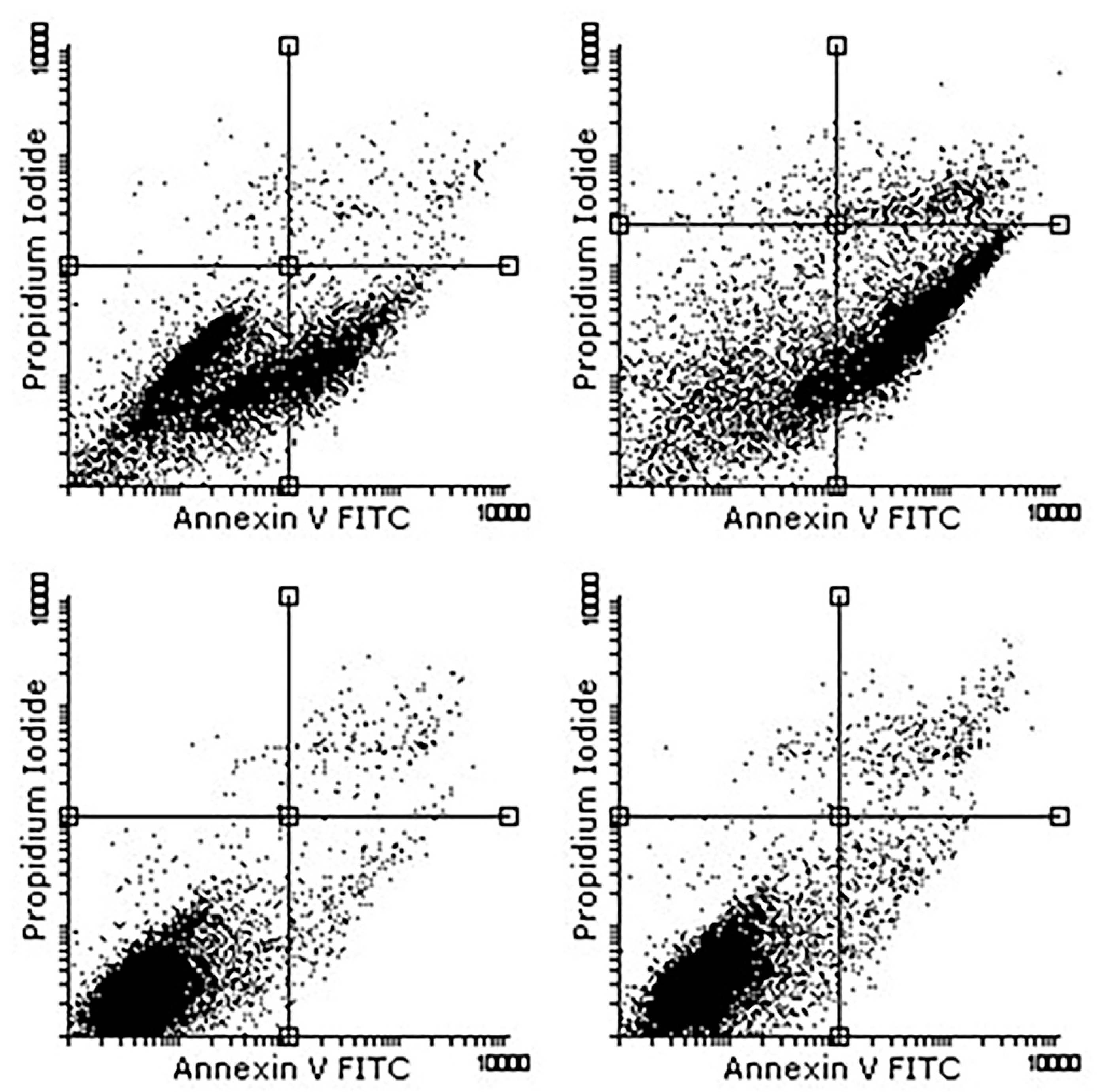 Applsci 11 11733 g005 550