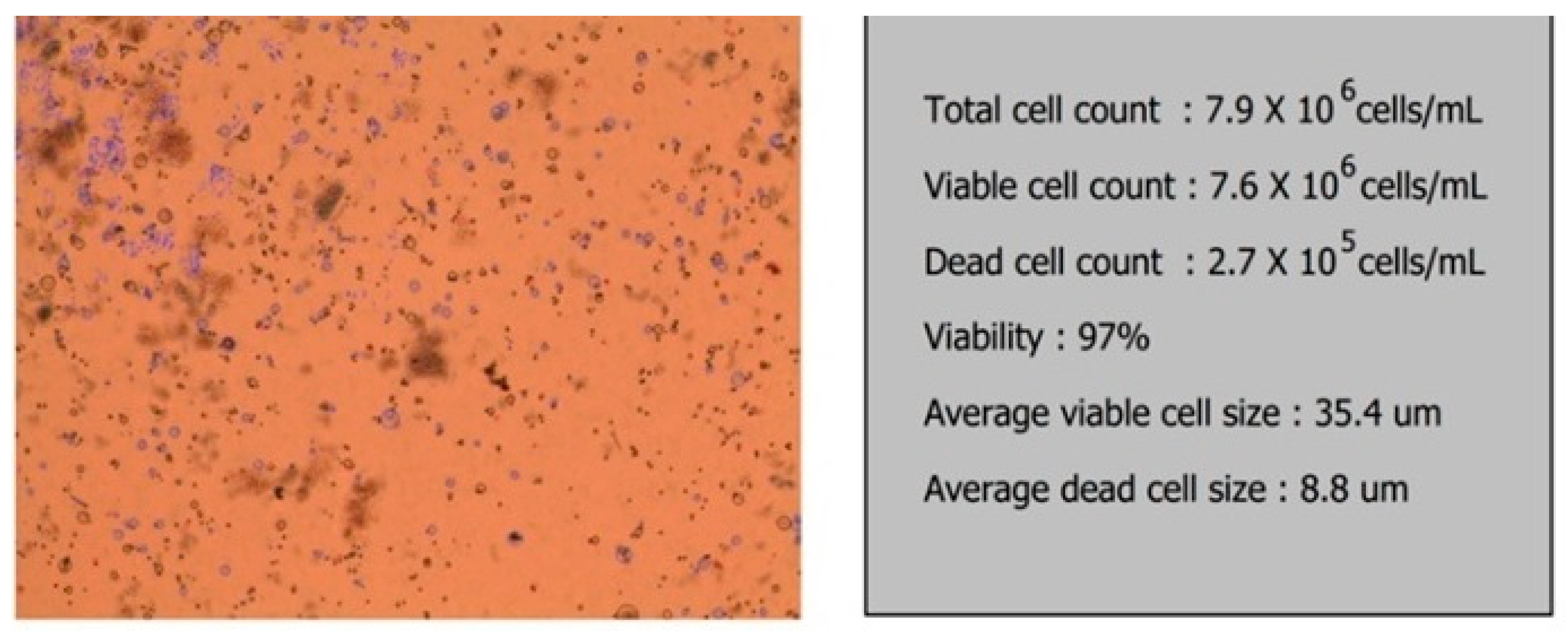 Applsci 11 11733 g006 550