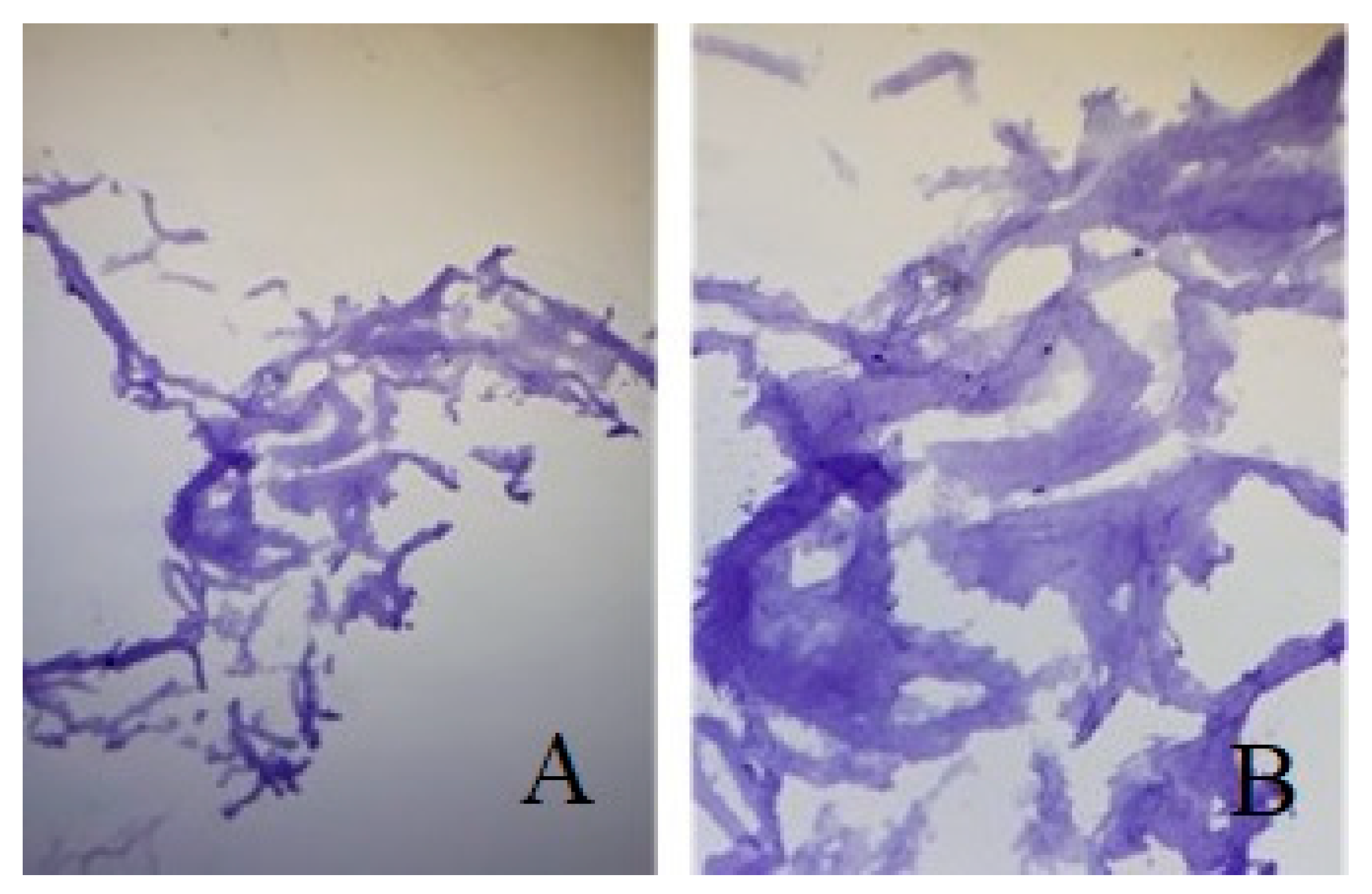 Applsci 11 11733 g008 550