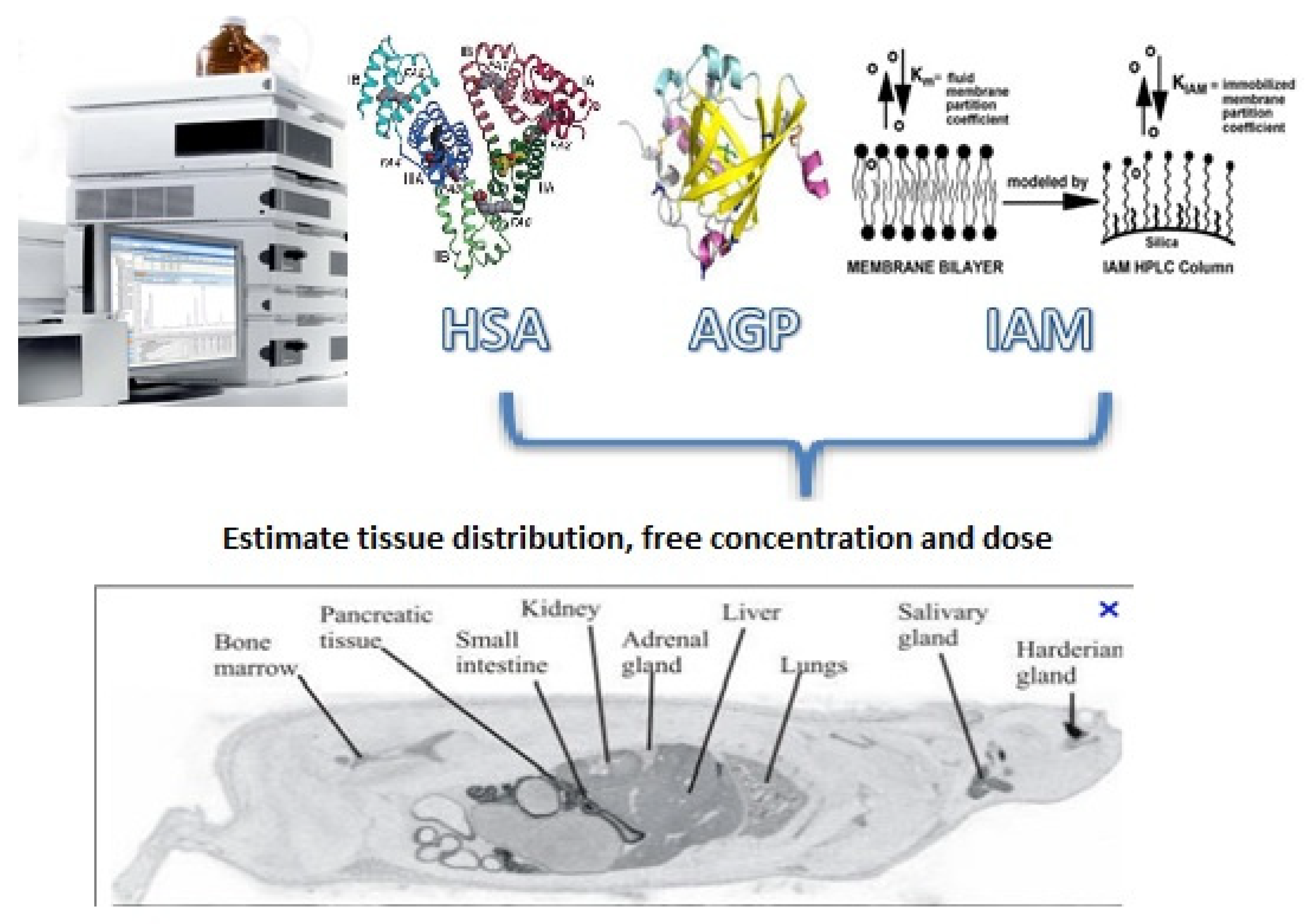 https://www.mdpi.com/applsci/applsci-11-11767/article_deploy/html/images/applsci-11-11767-g001.png