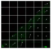 Applsci 11 11771 i012