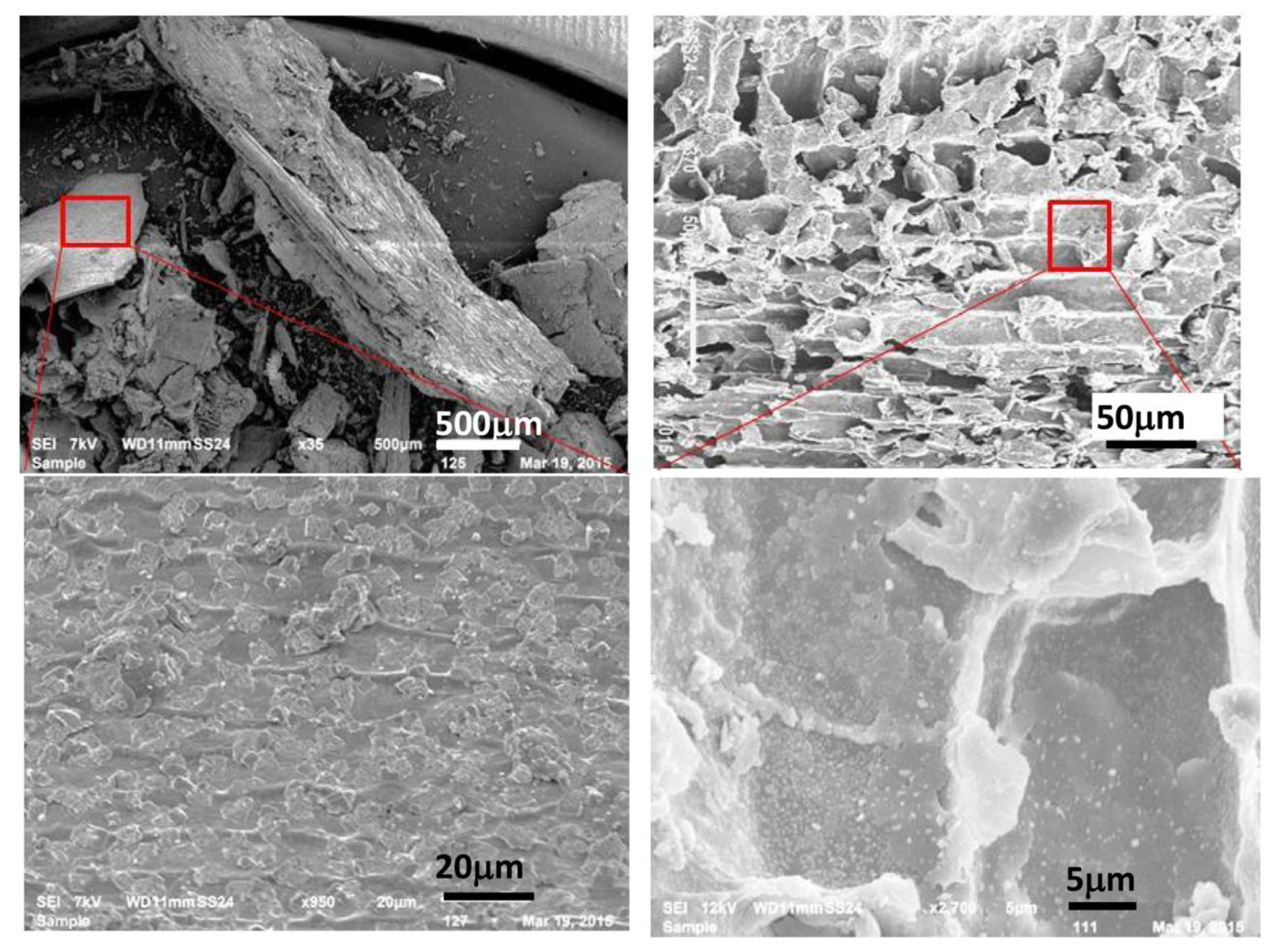 Applsci 11 11772 g002 550