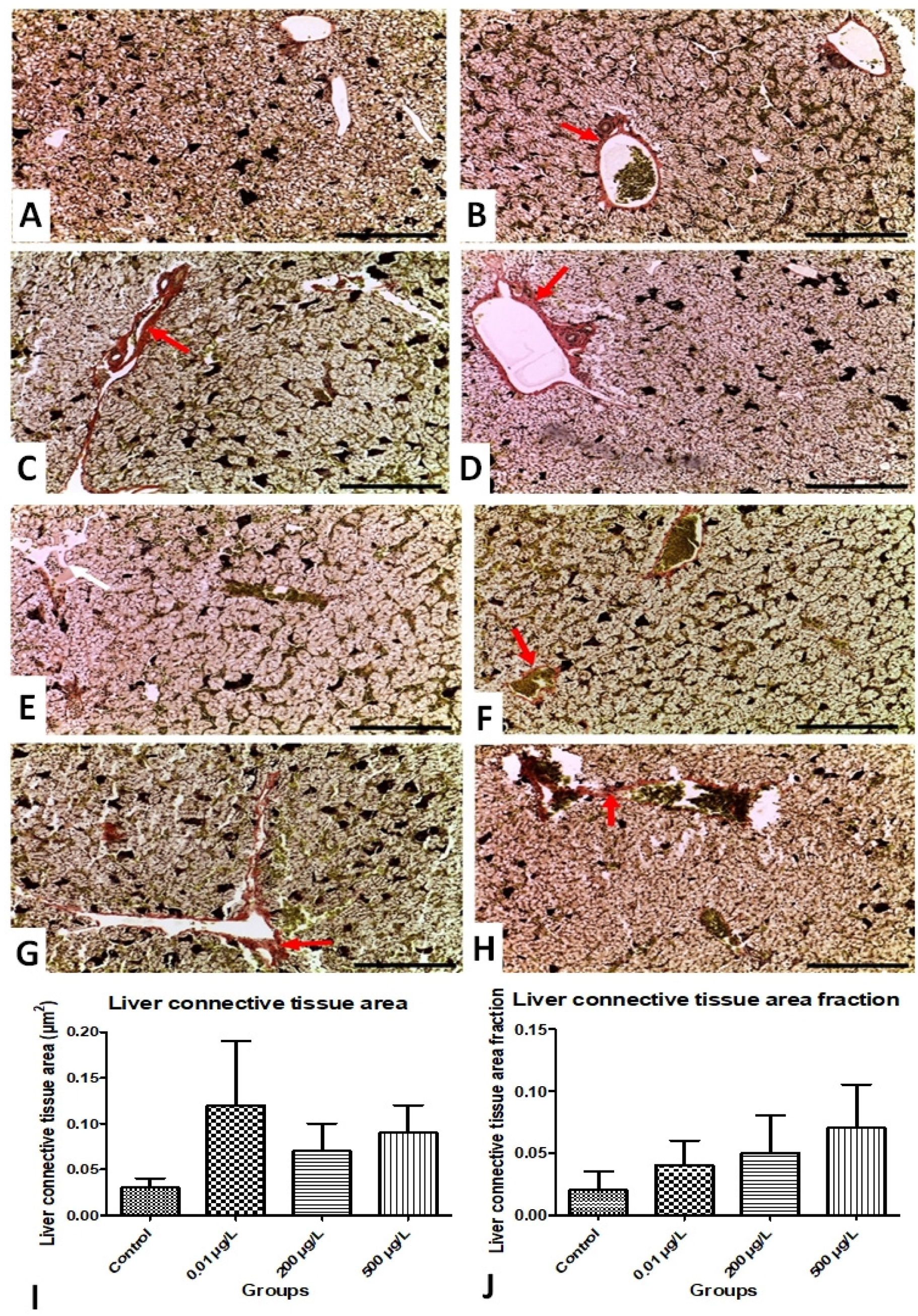 Applsci 11 11776 g003 550