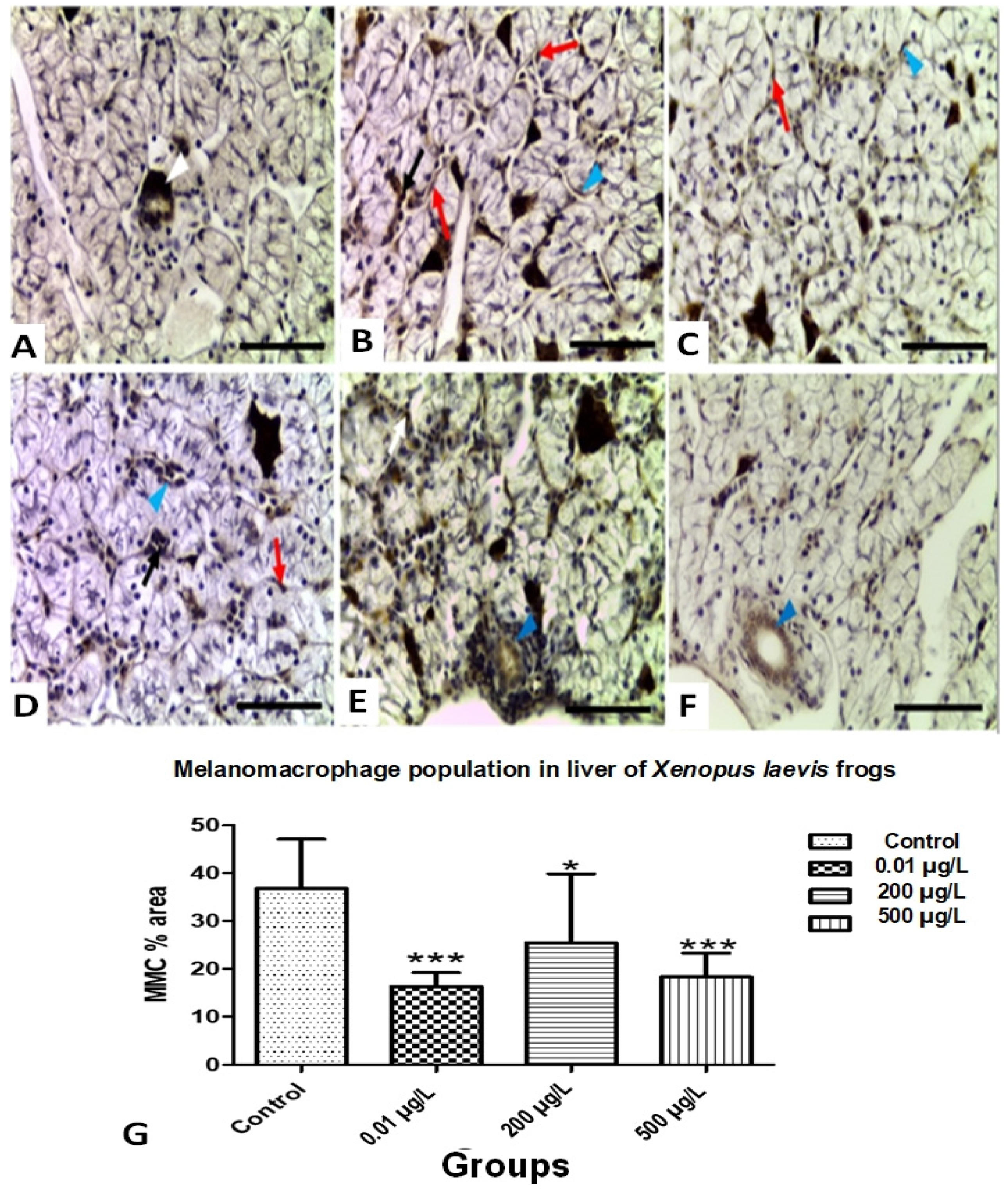 Applsci 11 11776 g005 550