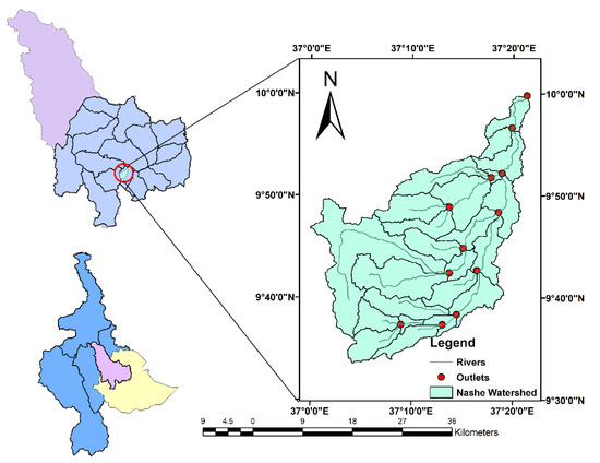 Analysis of Hydrological Characteristics of Blue Nile Basin, Nashe 