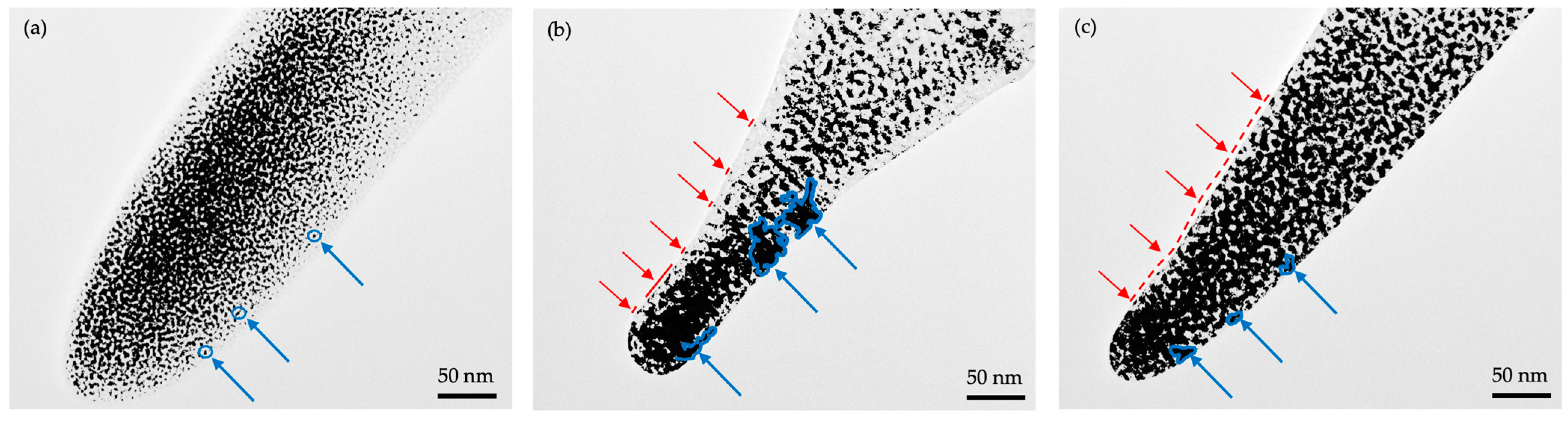 Applsci 11 11793 g006 550