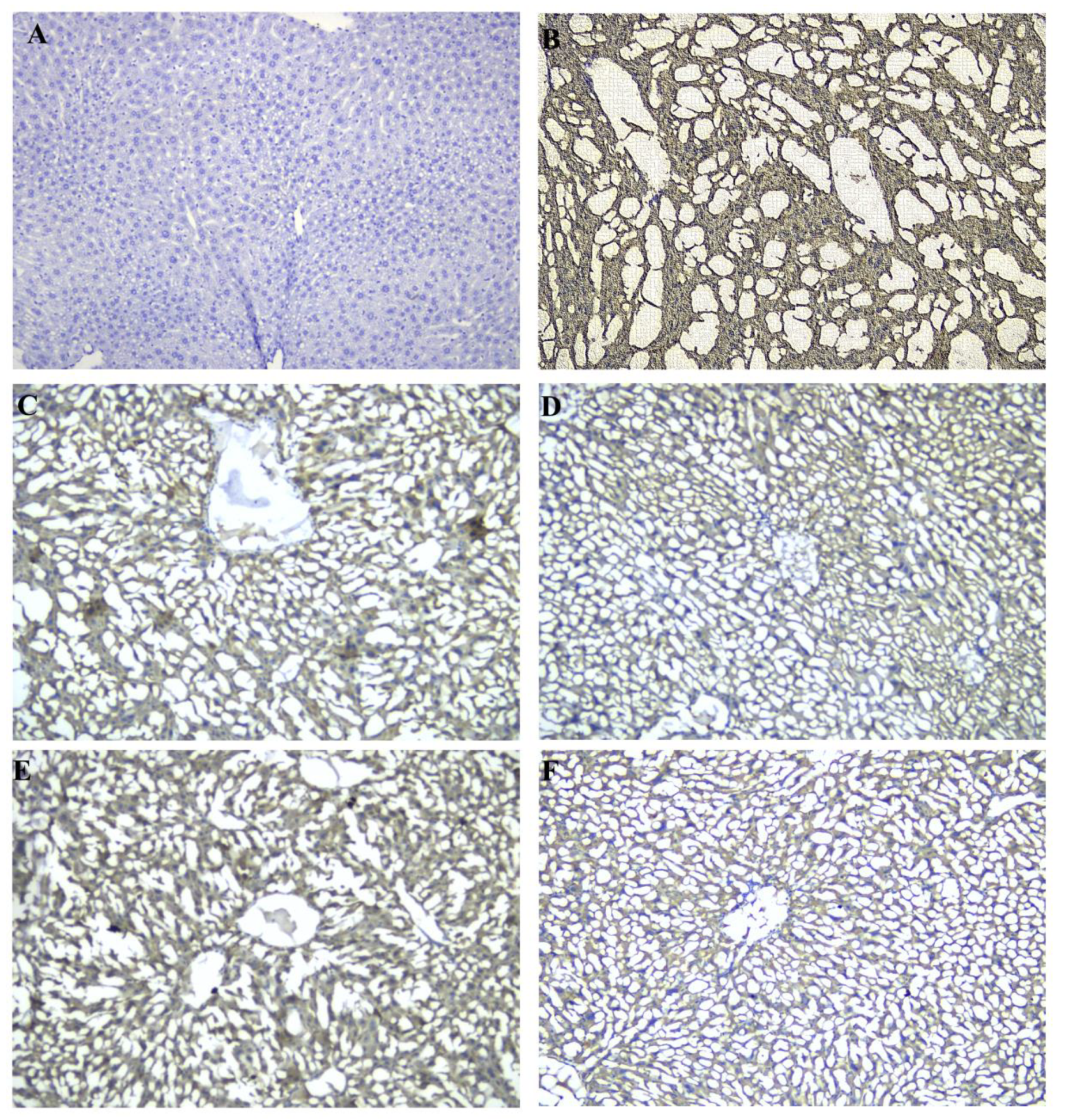 Applsci 11 11810 g002