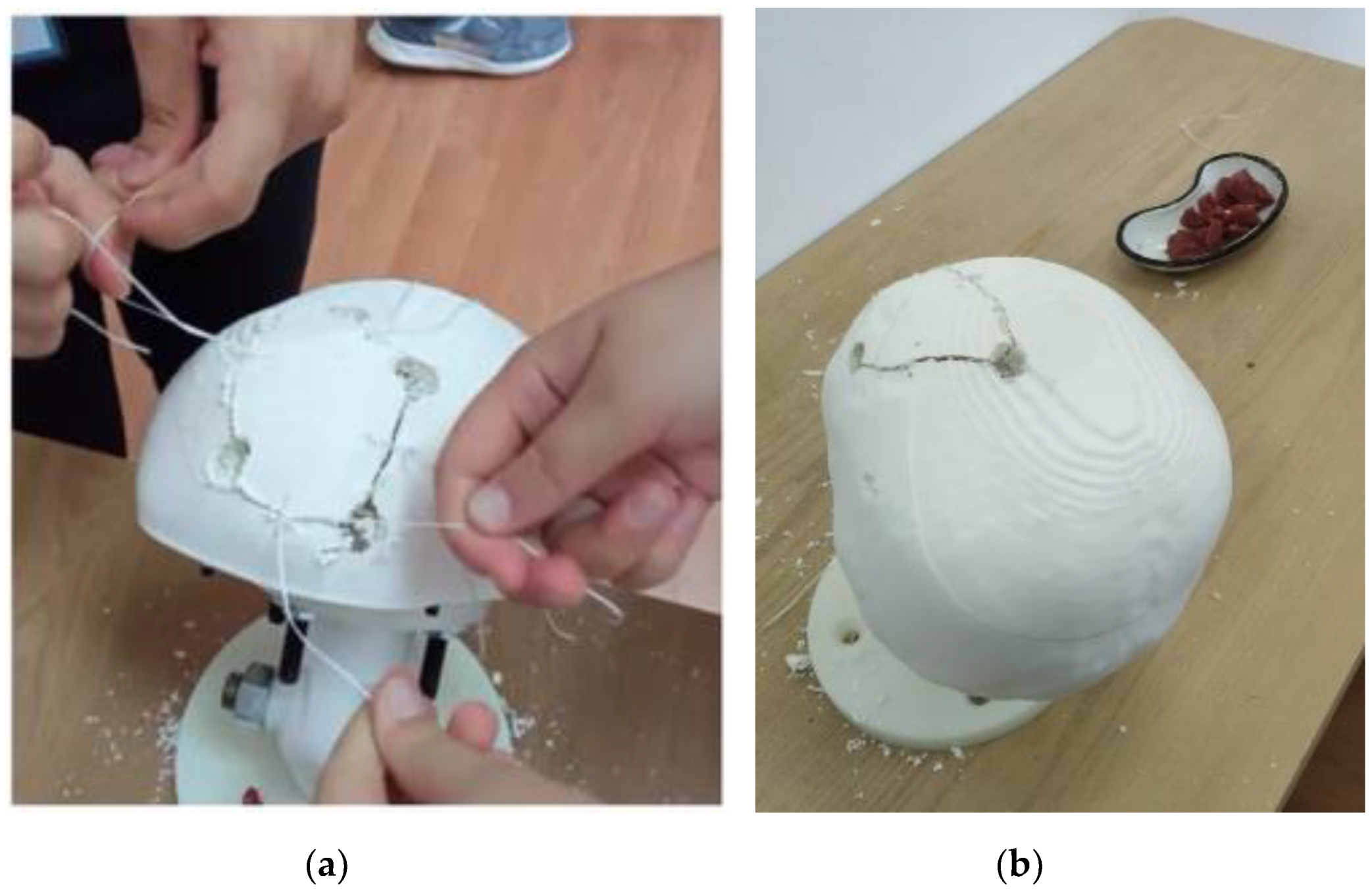 Applsci 11 11823 g011 550