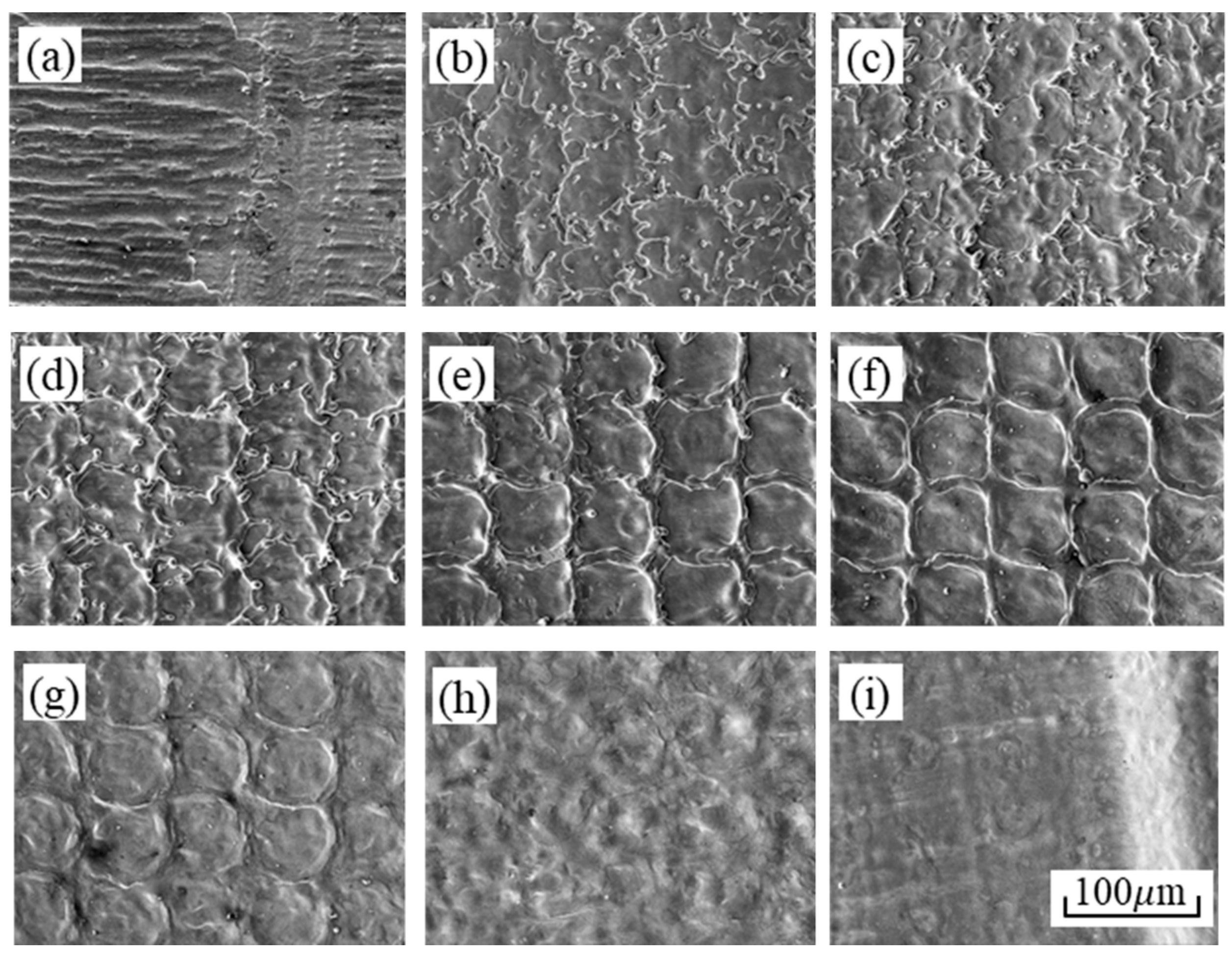 Applsci 11 11832 g007 550