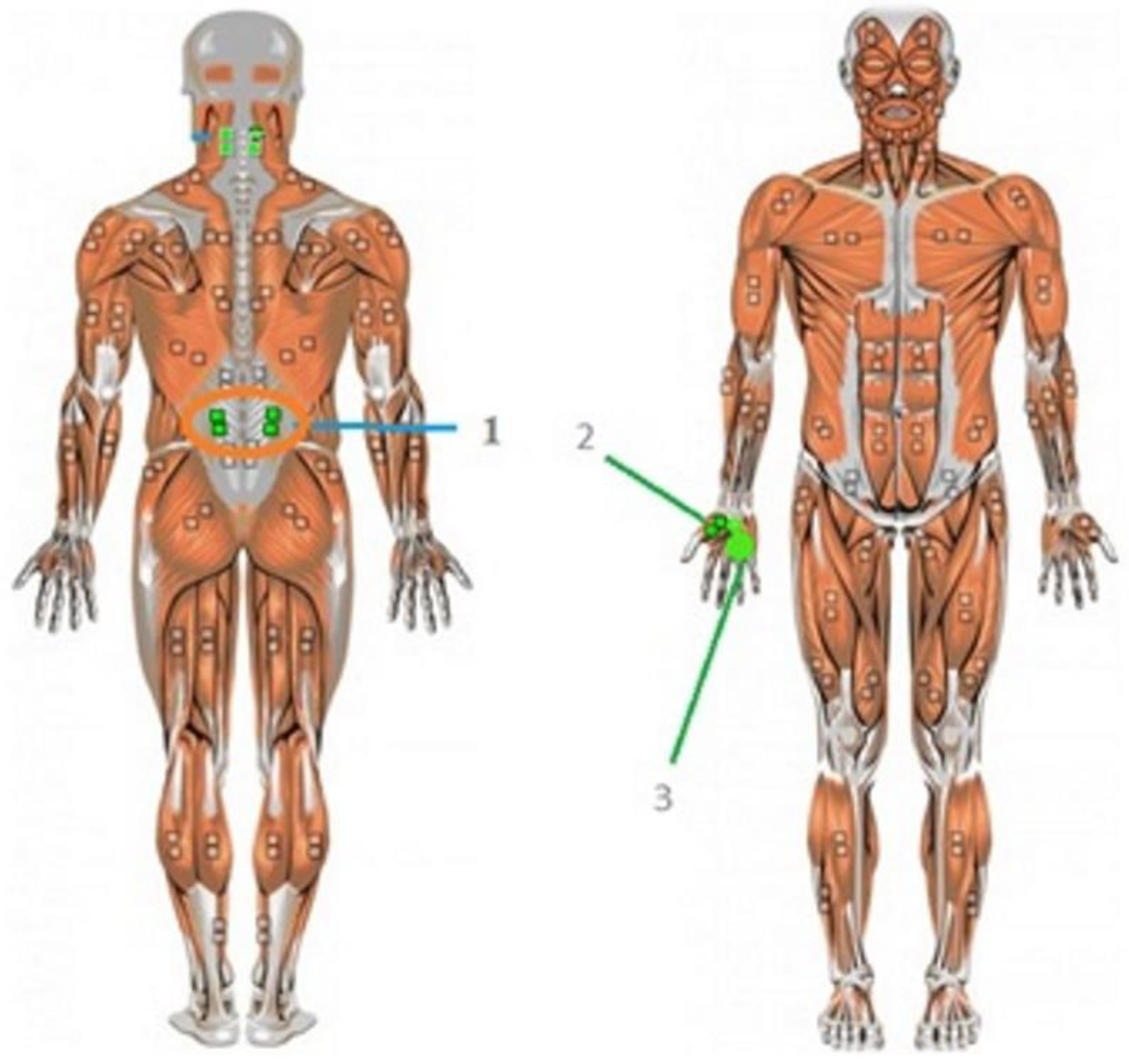 Applsci 11 11836 g004