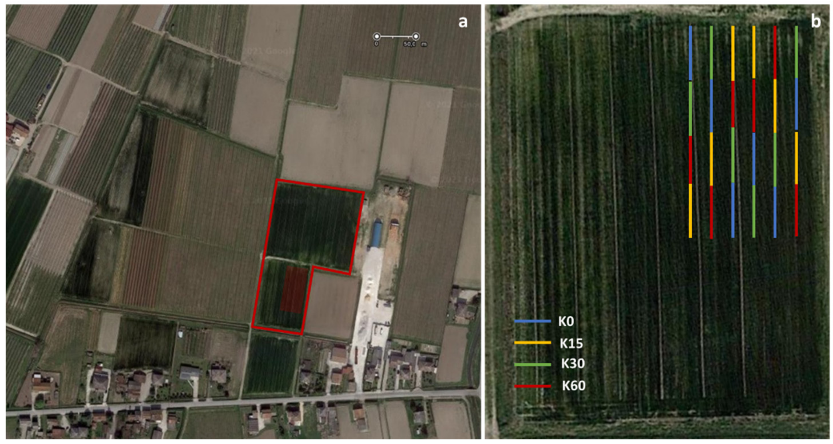 Applsci 11 11869 g001