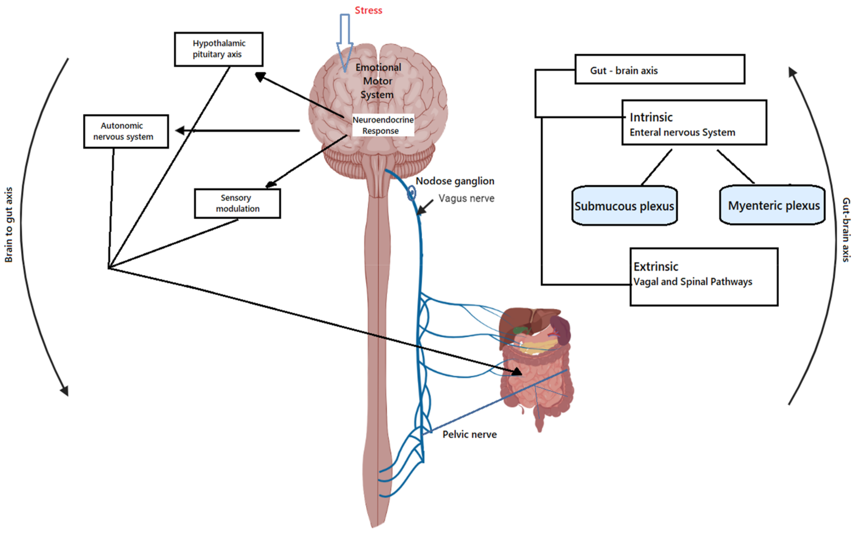 Applsci 11 11871 g001 Applsci 11 11871 g001