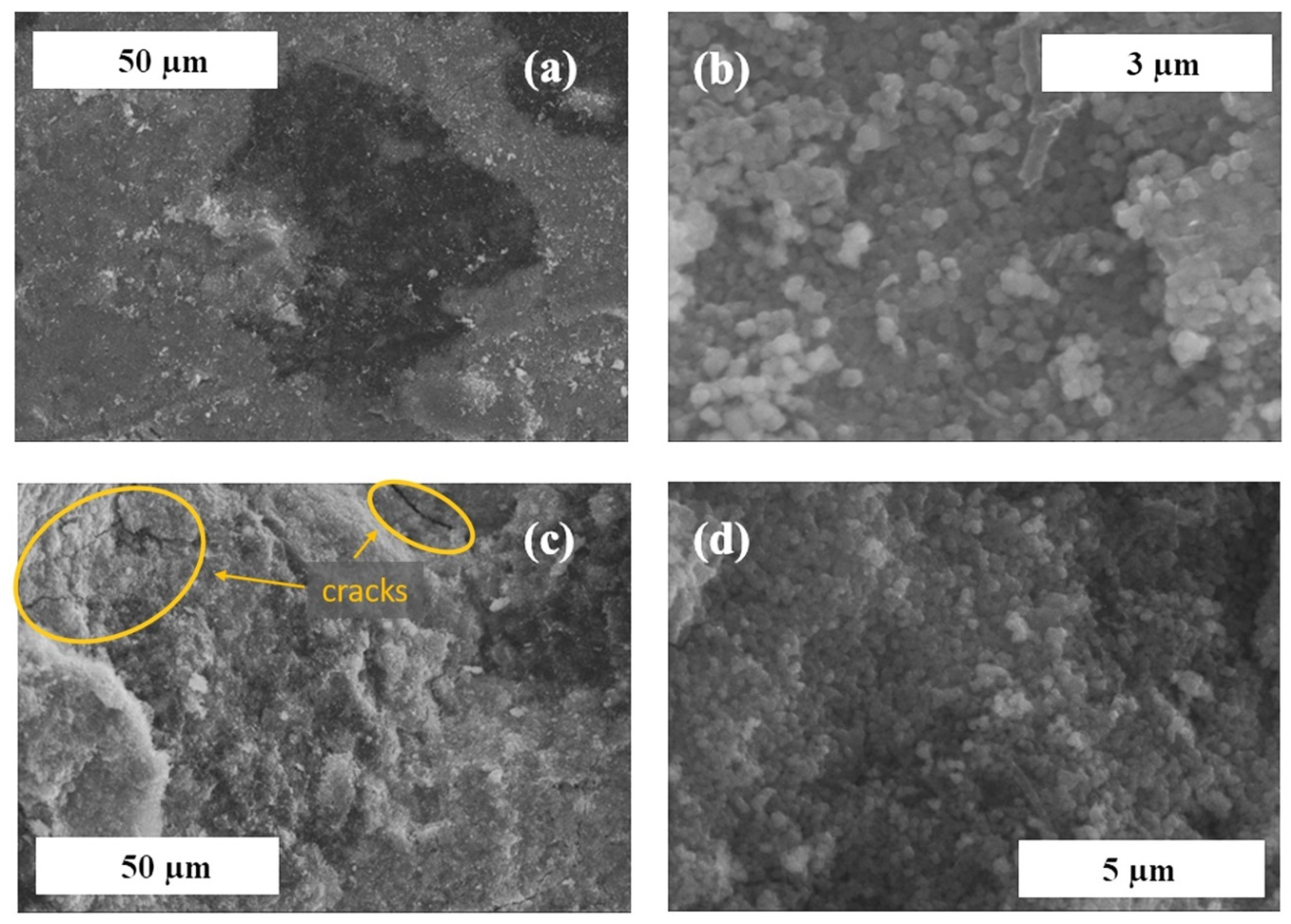 Applsci 11 11877 g002