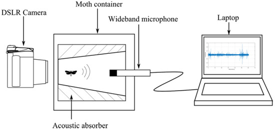 Real-Time Remote Sensing of the Lobesia botrana Moth Using a Wireless ...