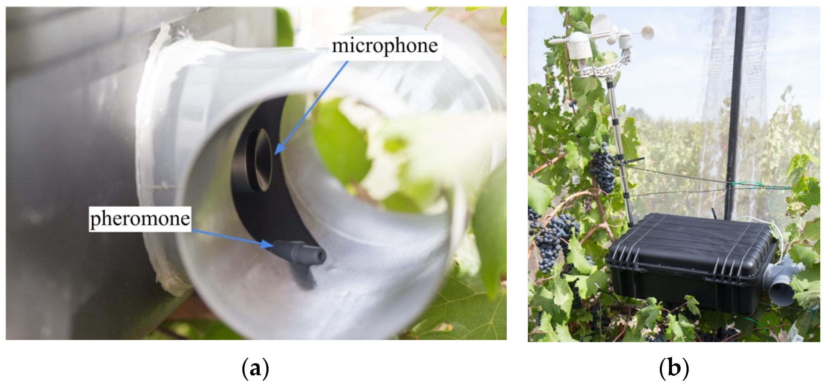 Applsci 11 11889 g013 550