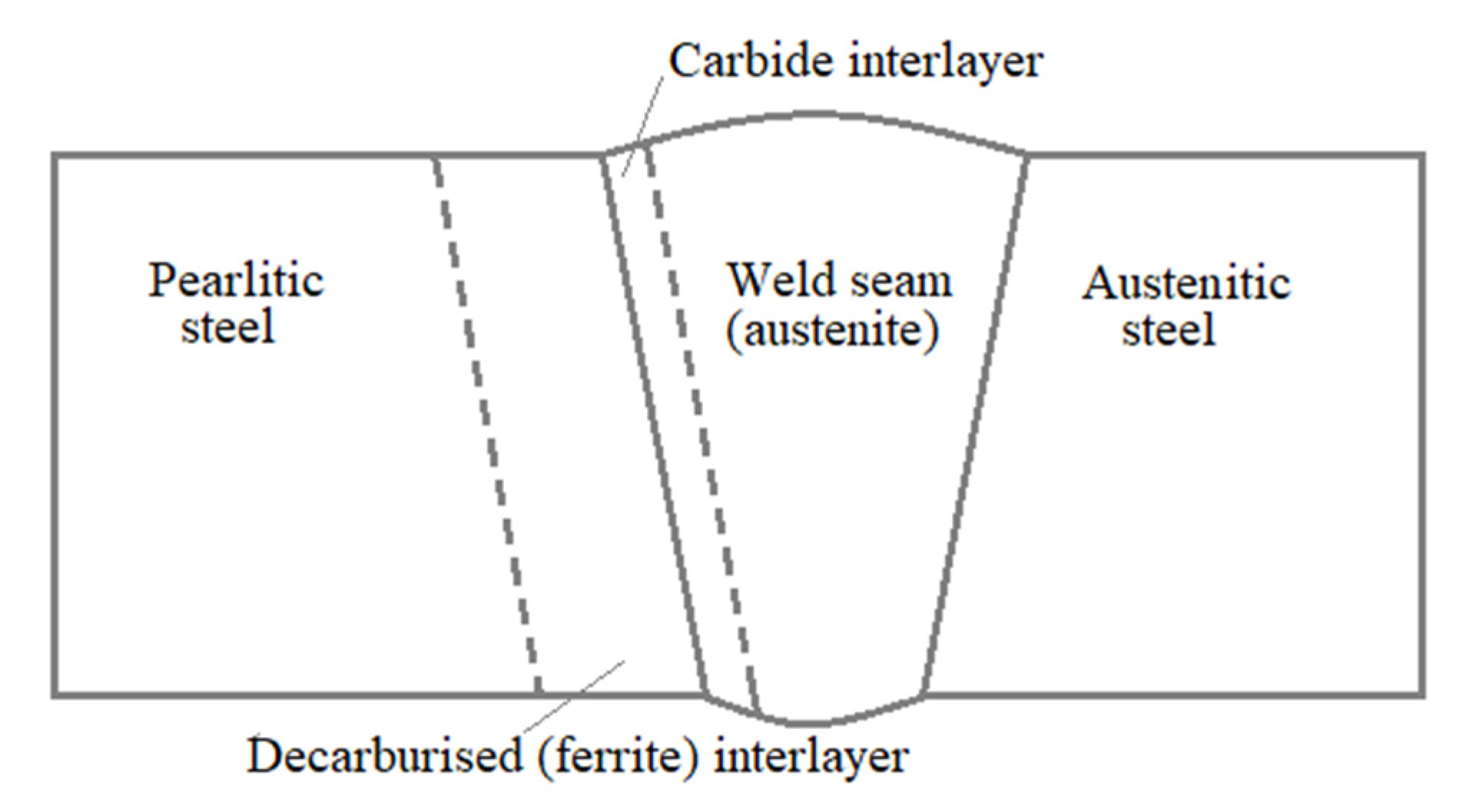 Applsci 11 11892 g001