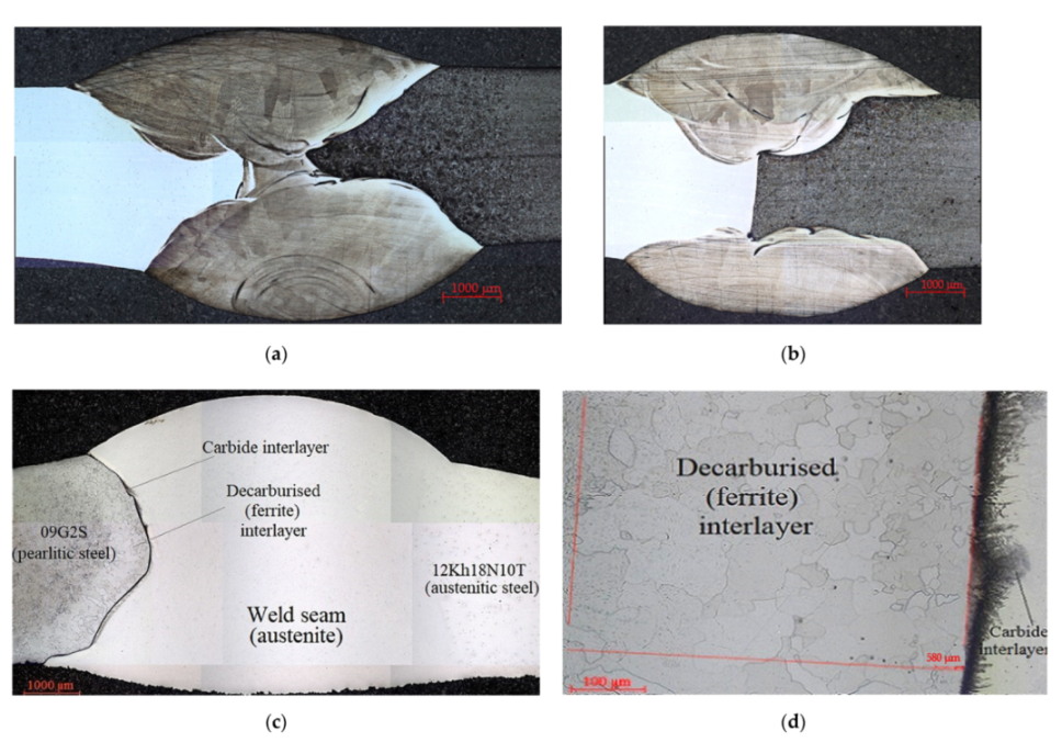 Applsci 11 11892 g002