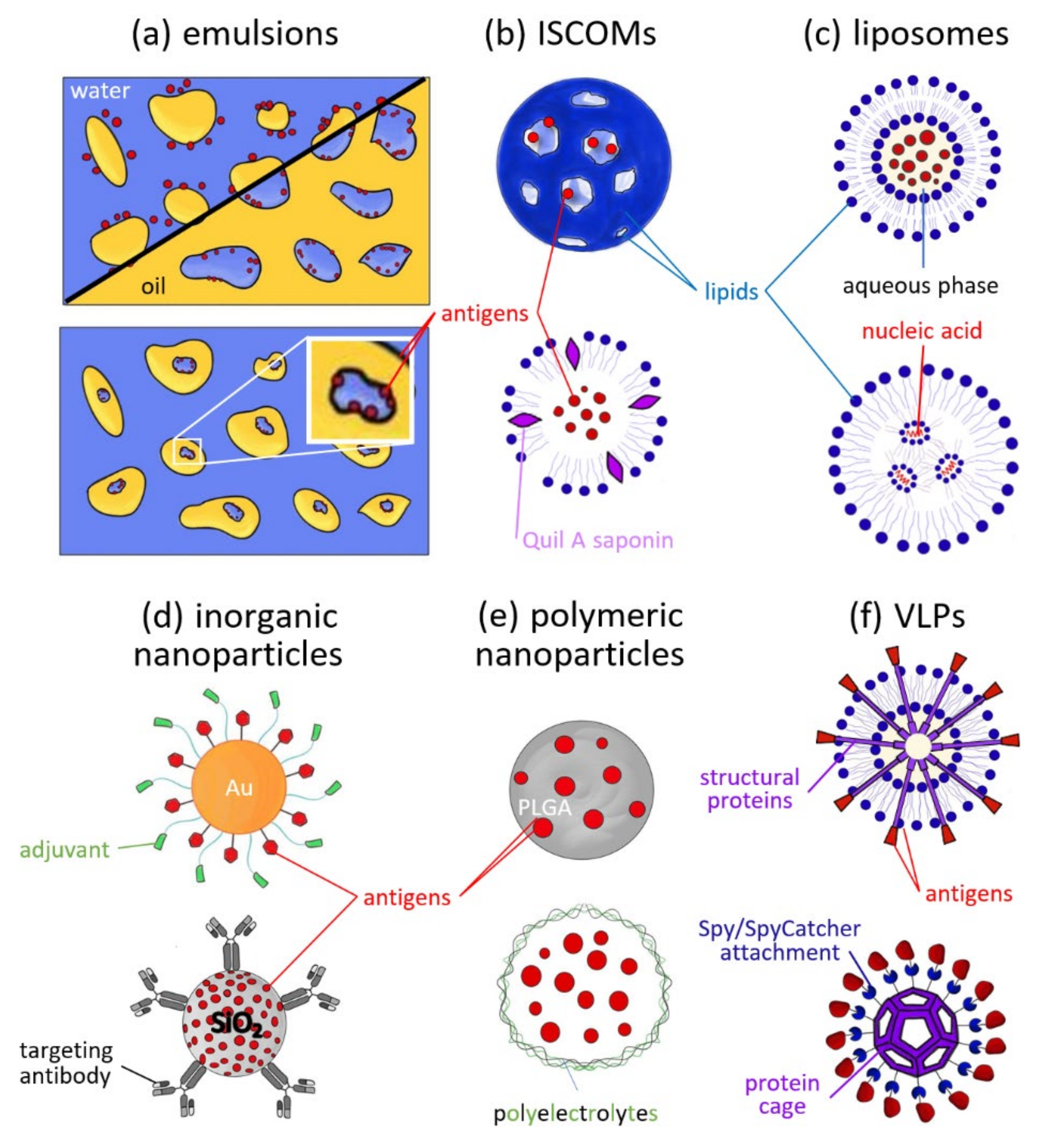 Applsci 11 11898 g002