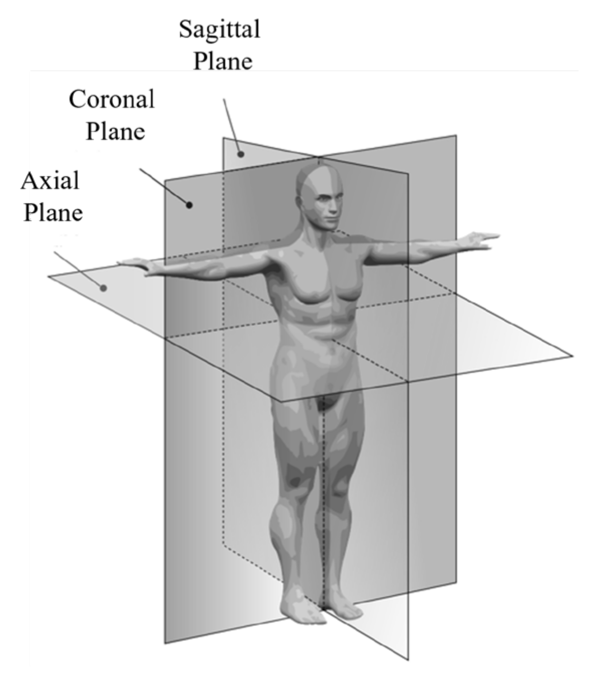 Applsci 11 11902 g003