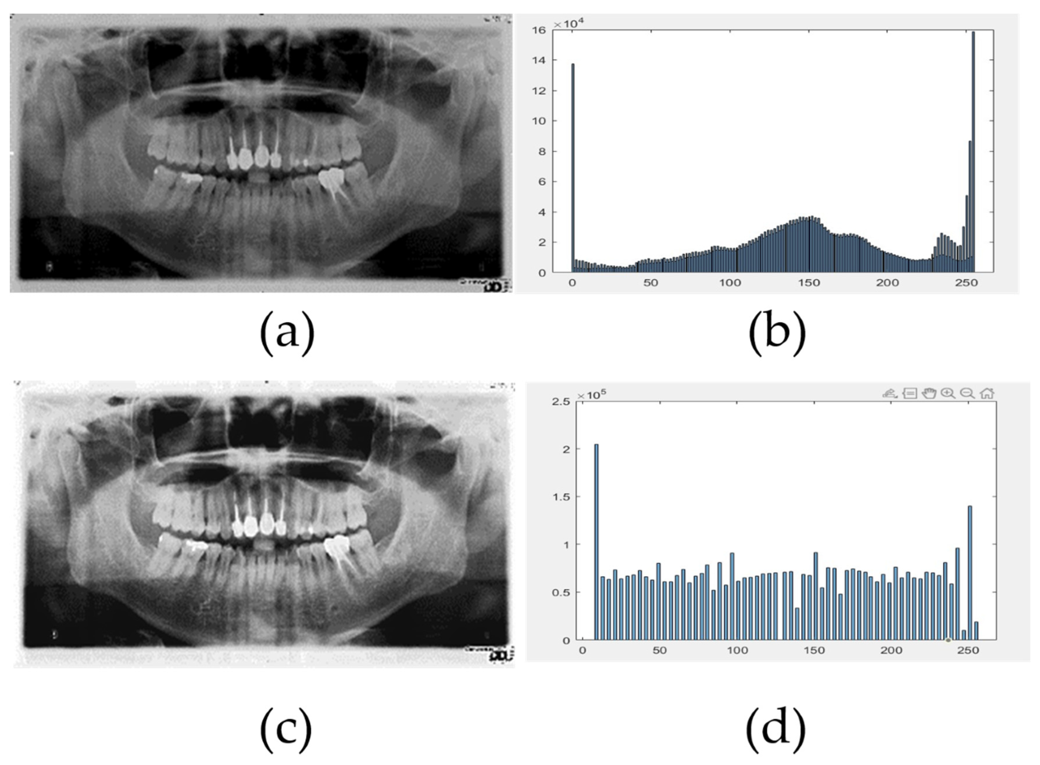 Applsci 11 11904 g004