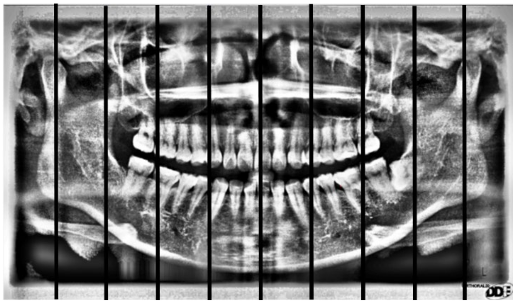 Applsci 11 11904 g010