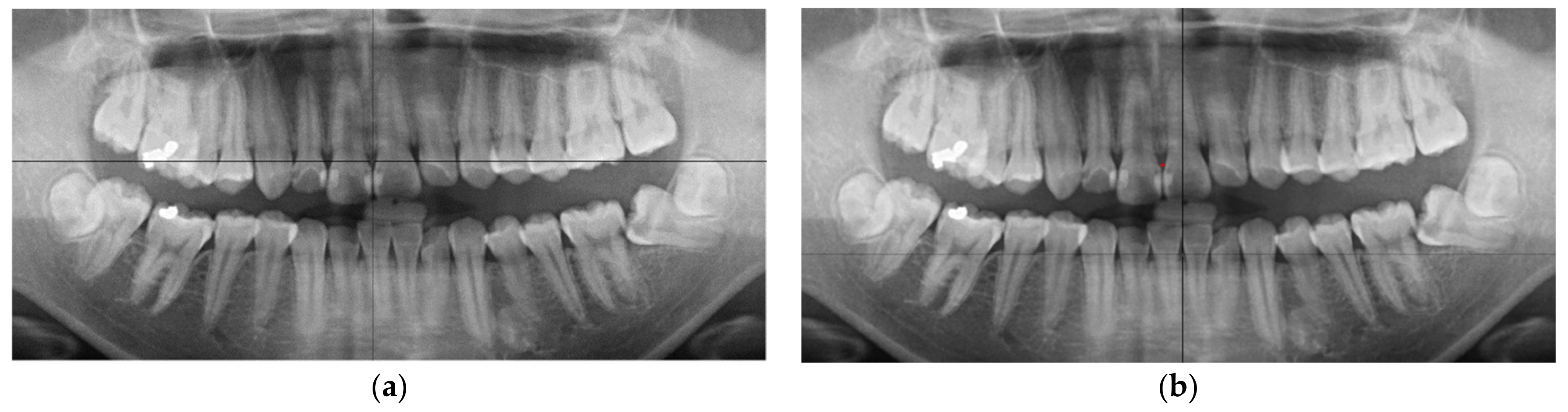 Applsci 11 11904 g020