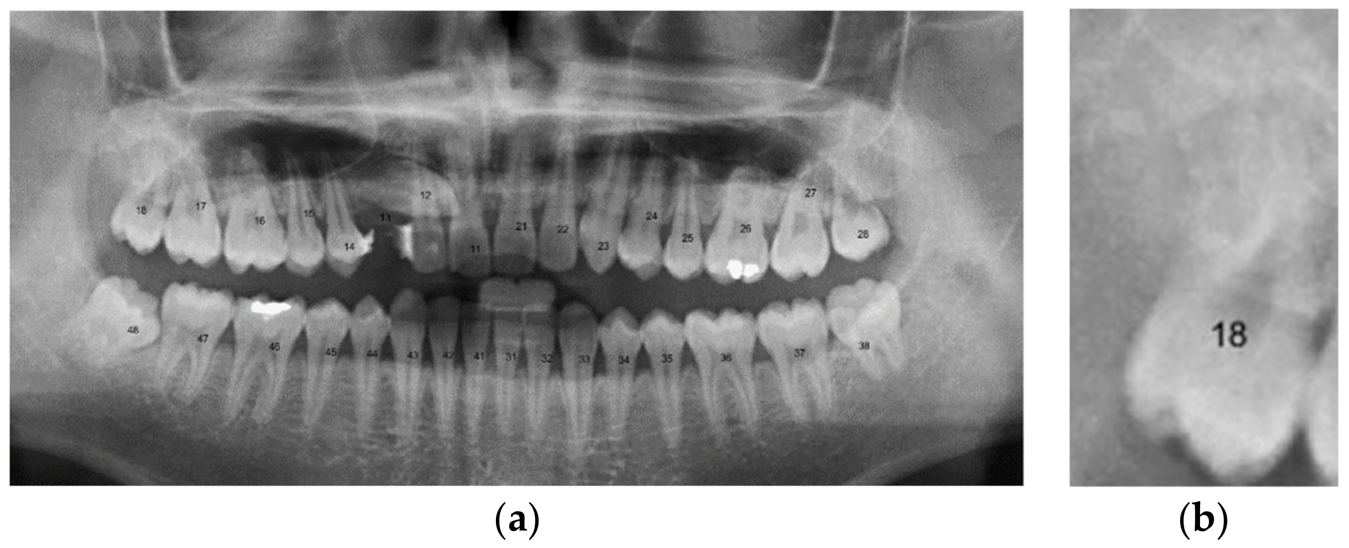 Applsci 11 11904 g027