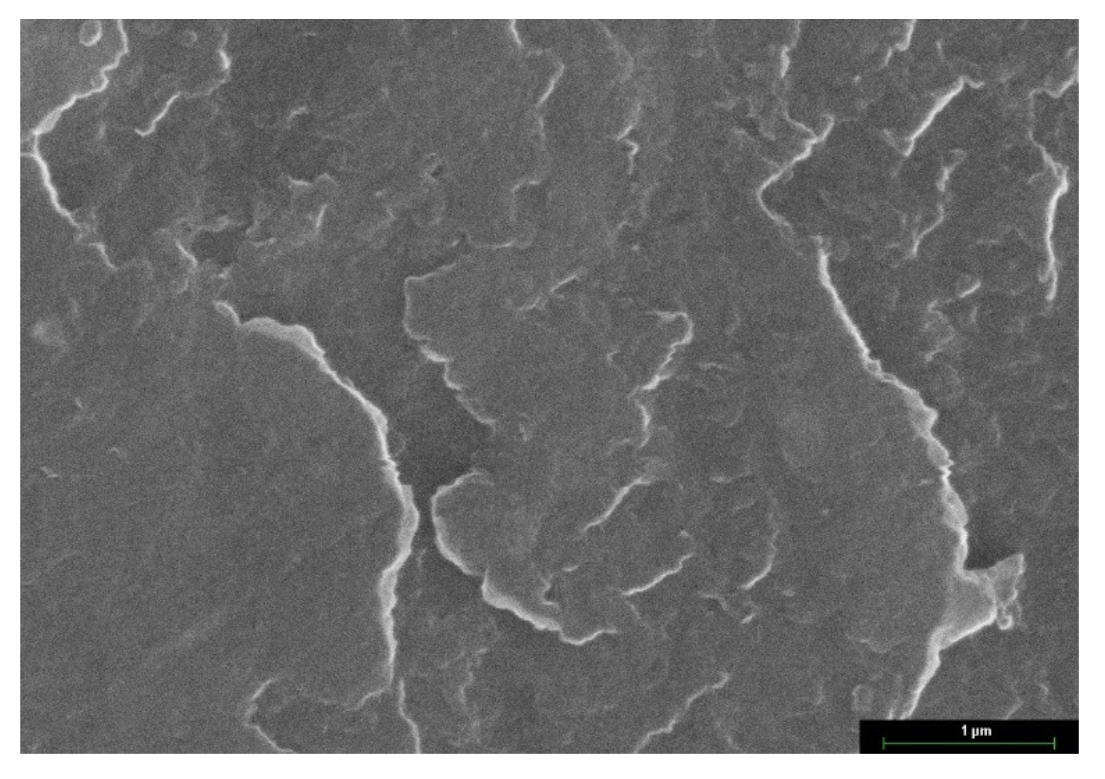 Applsci 11 11906 g010