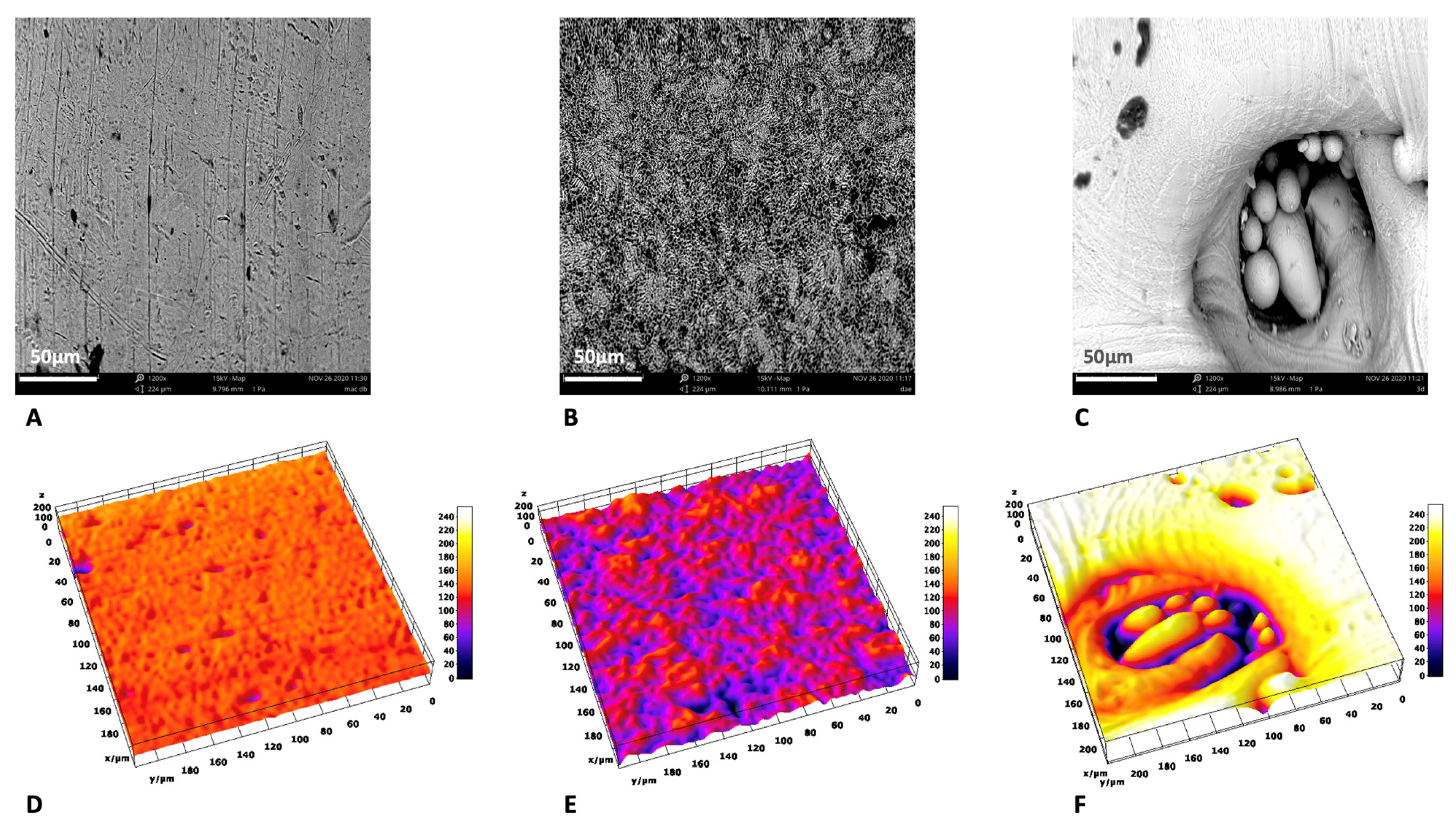 Applsci 11 11915 g002