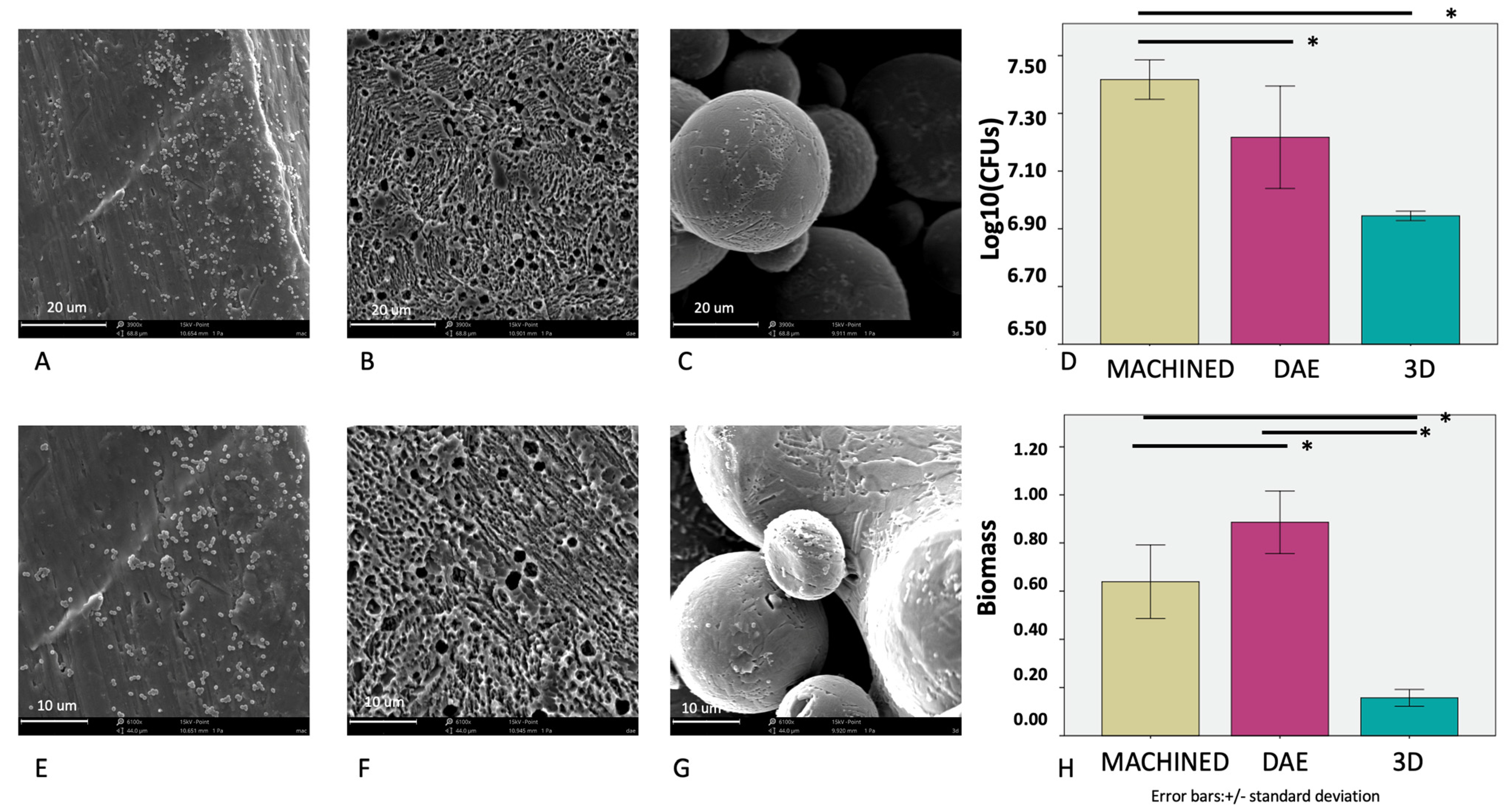 Applsci 11 11915 g006