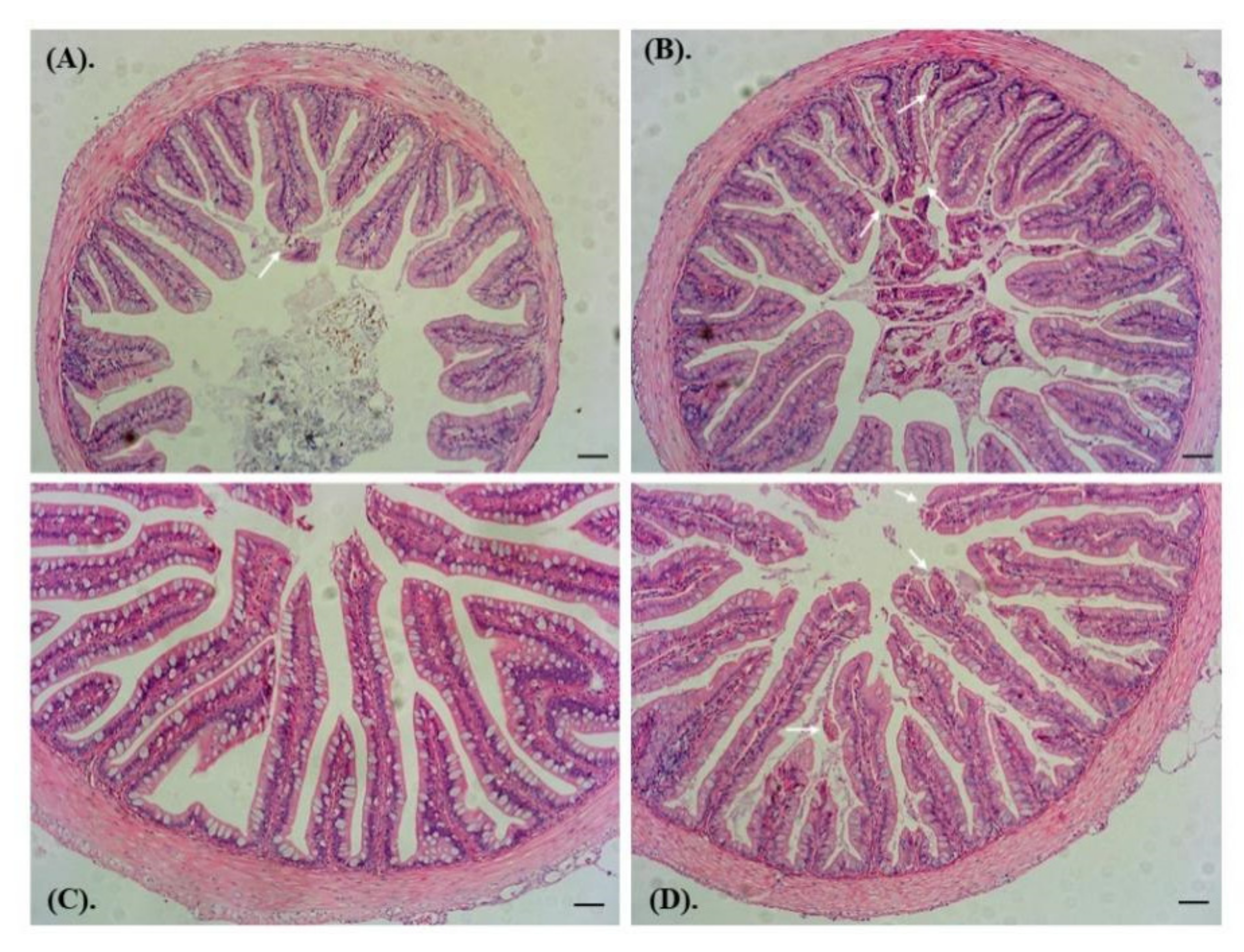 Applsci 11 11921 g002