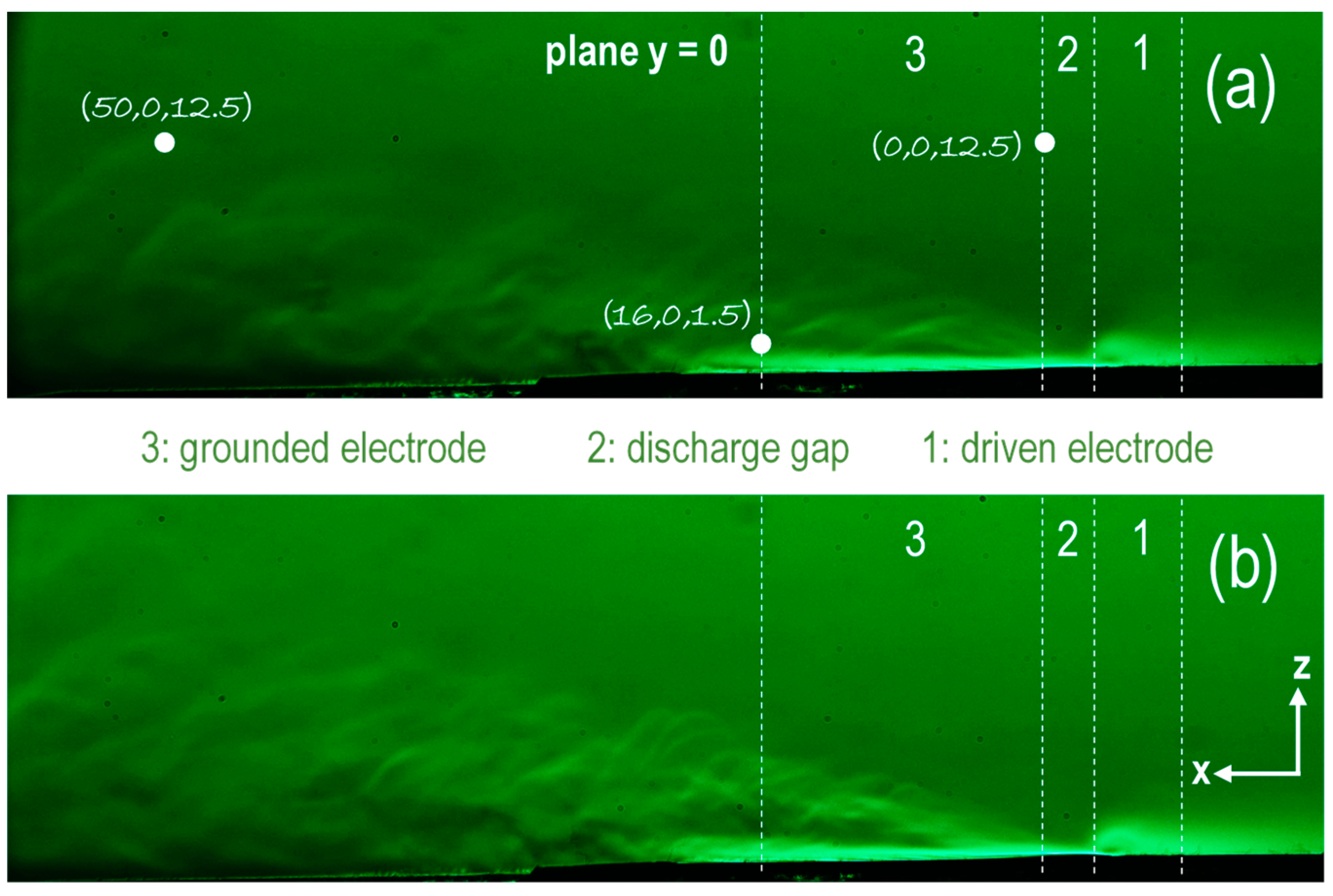 Applsci 11 11930 g011 550