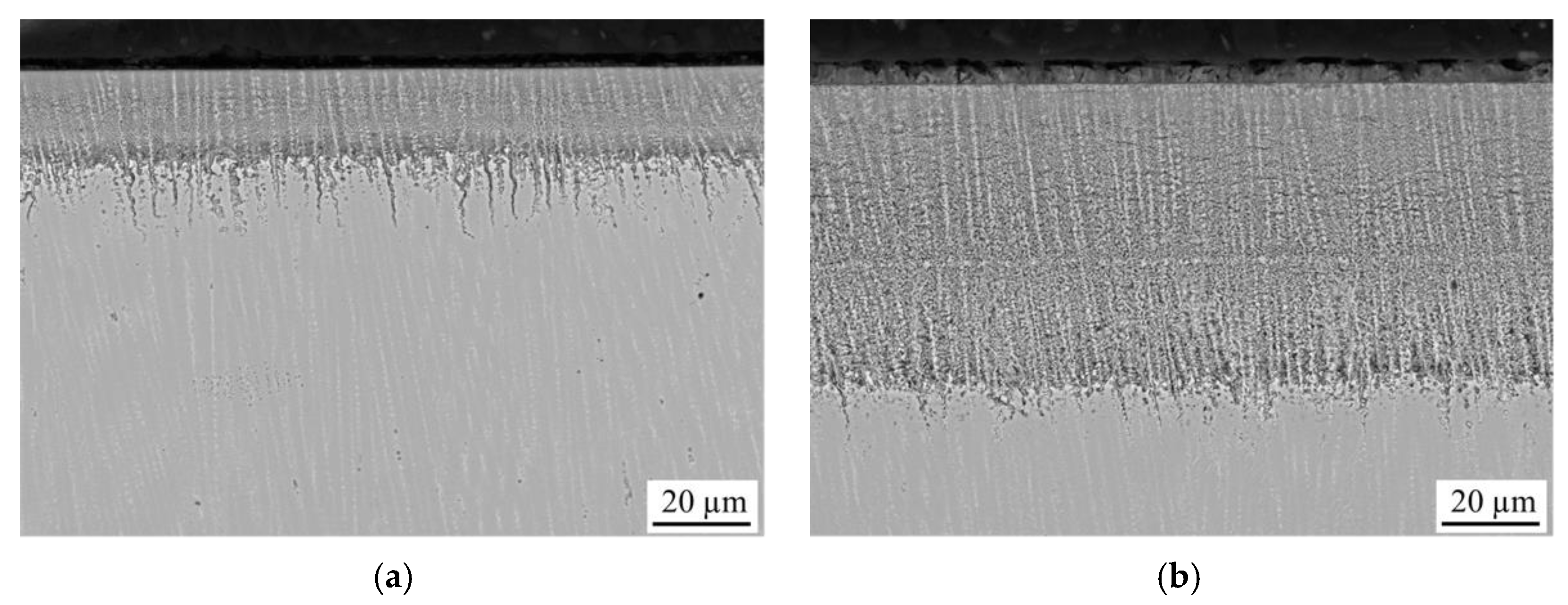 Applsci 11 11935 g001 550