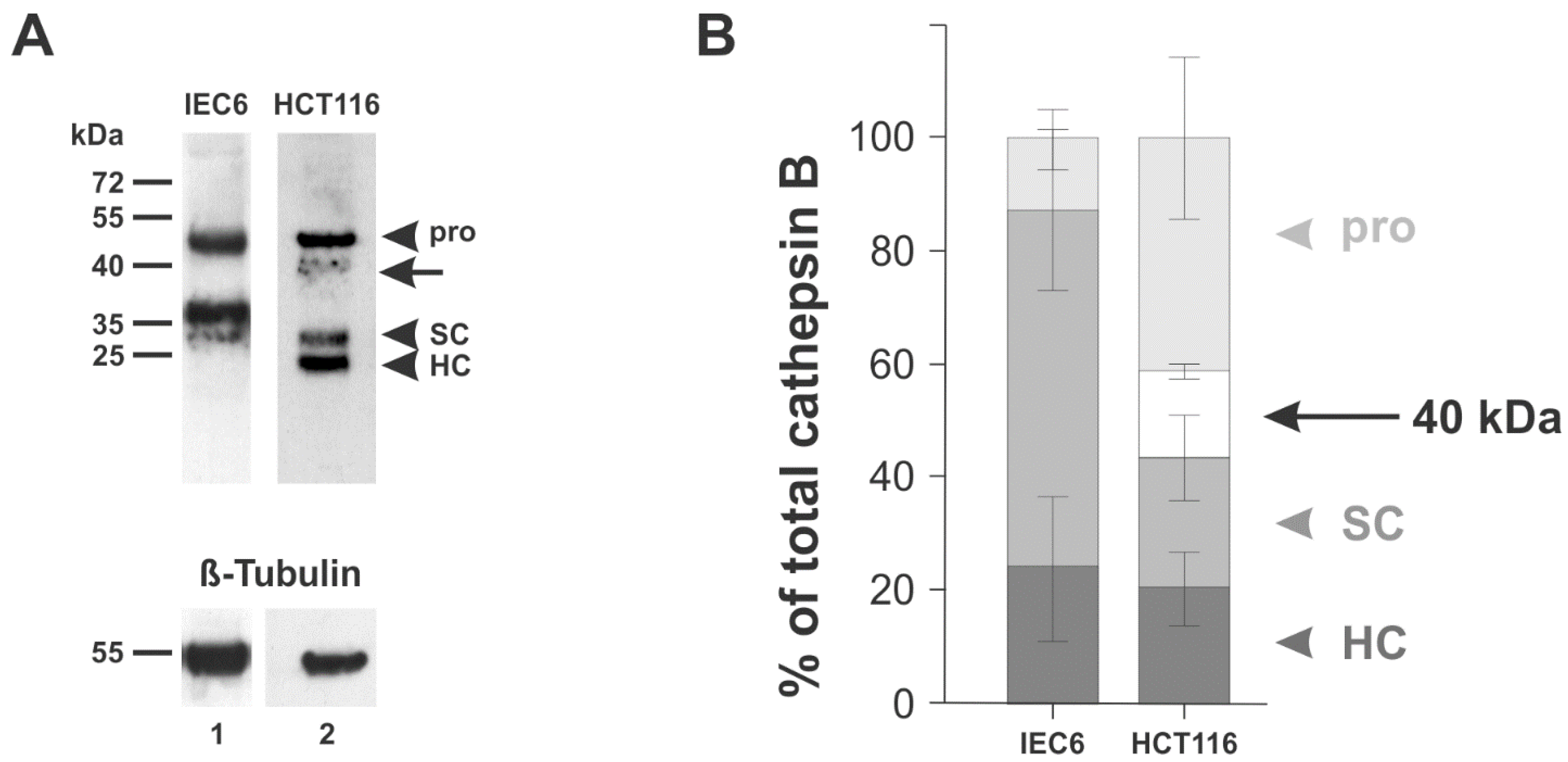 Applsci 11 11936 g003
