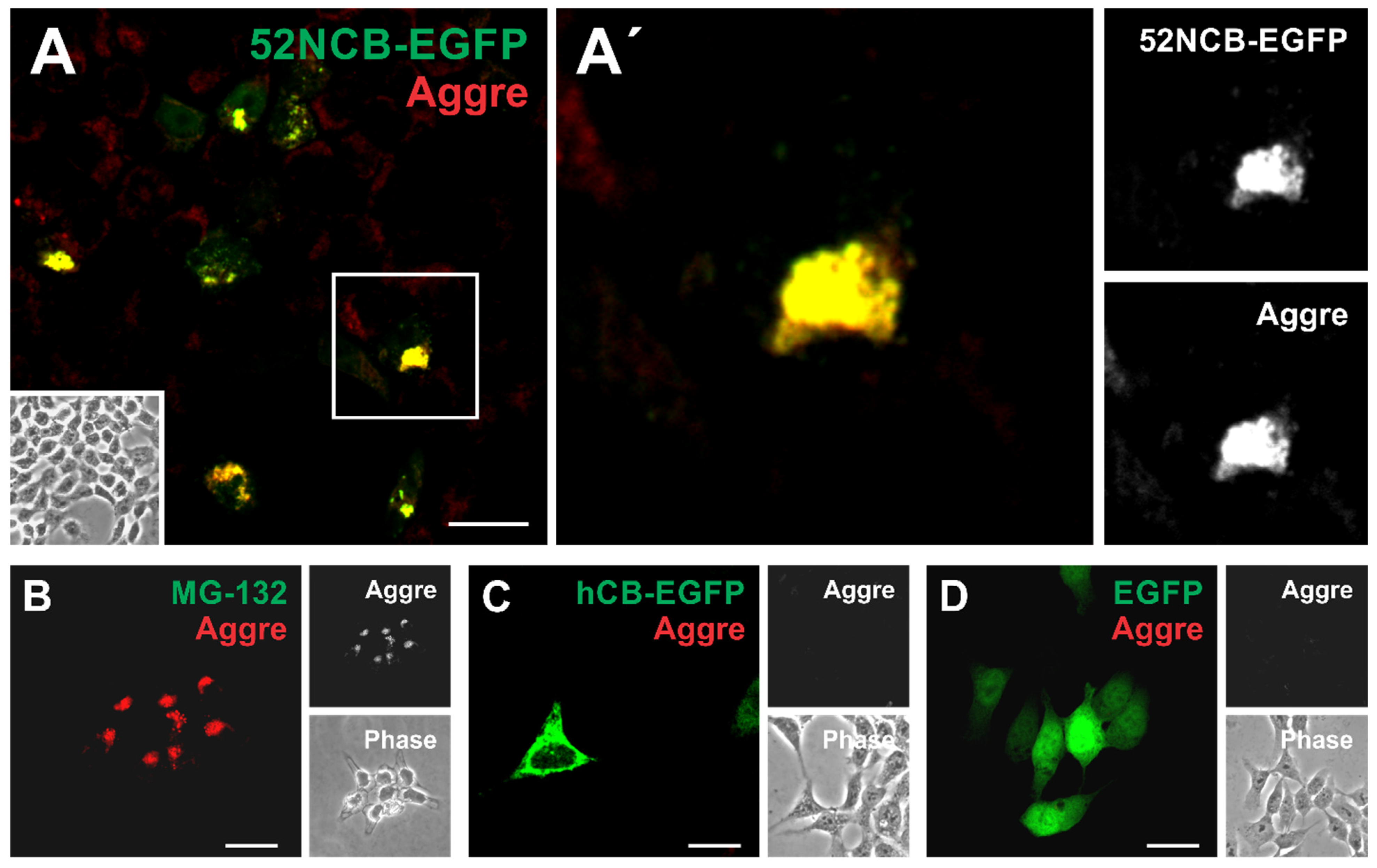 Applsci 11 11936 g006