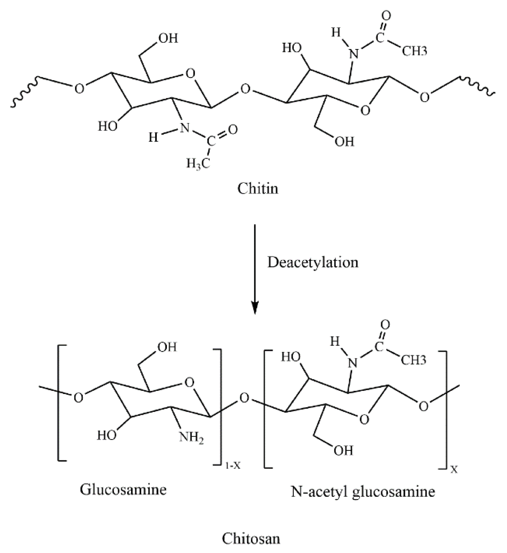 Electrospinning of Chitosan for Antibacterial Applications