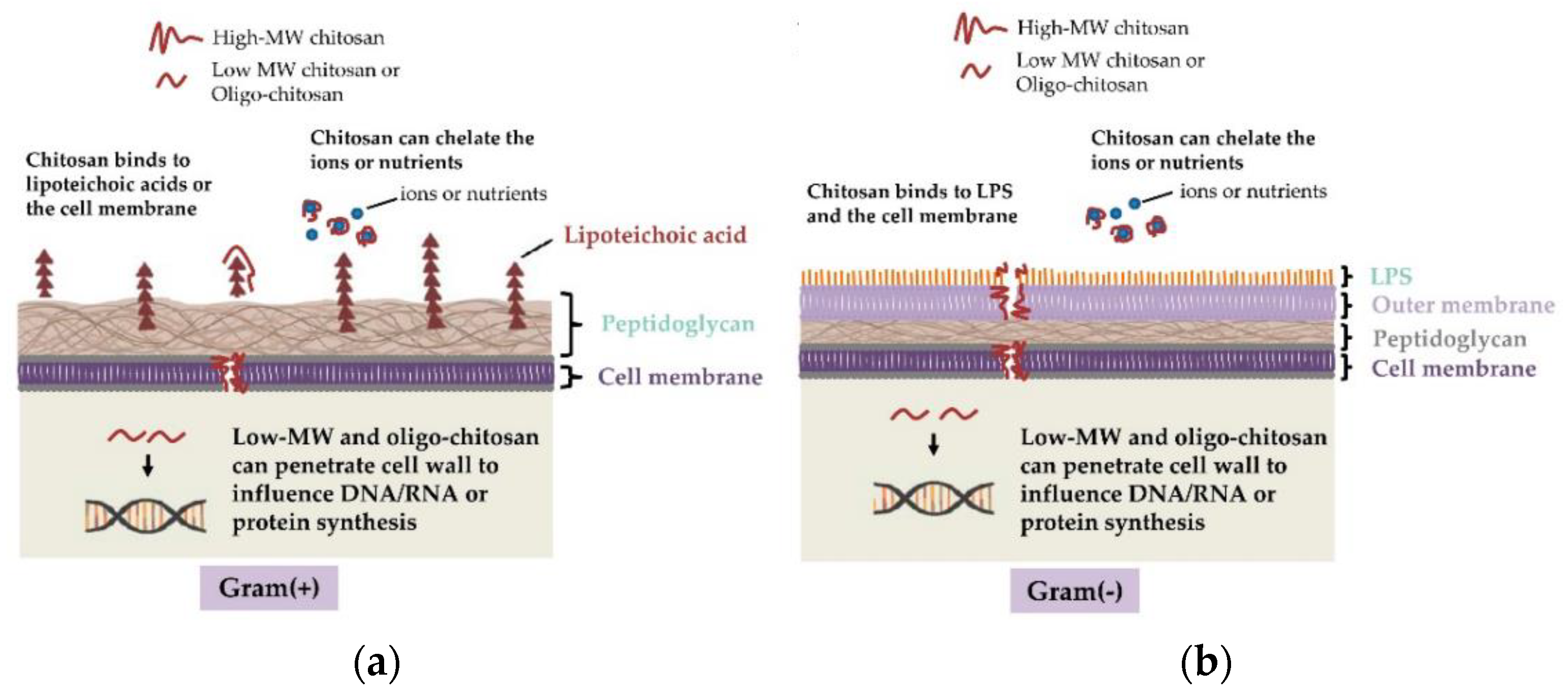 Applsci 11 11937 g005