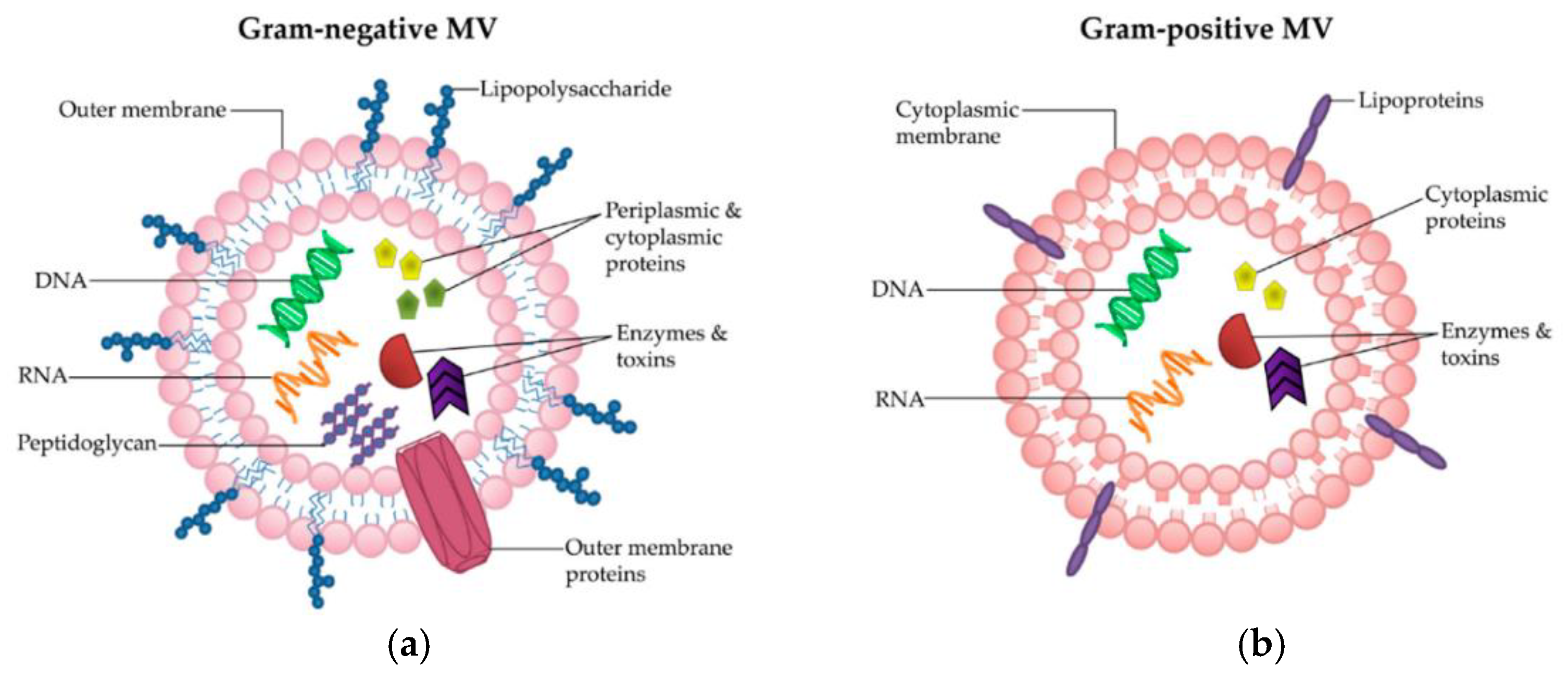 Applsci 11 11937 g006